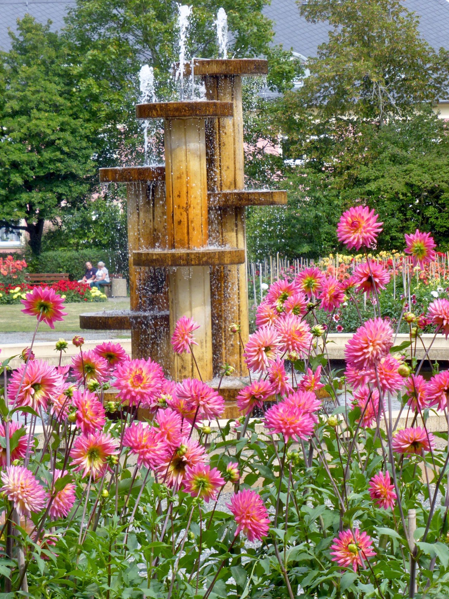 Dahliengarten Gera – Motiv