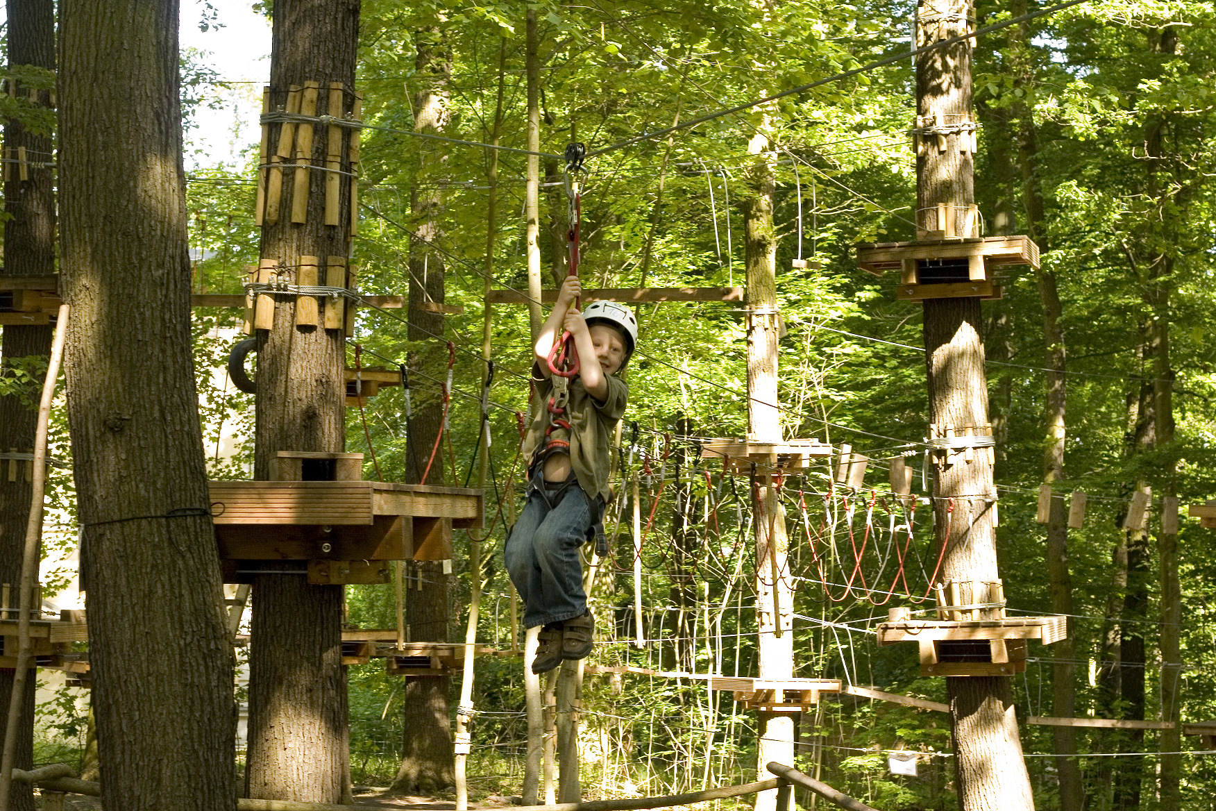 Kletterwald Gera – Motiv