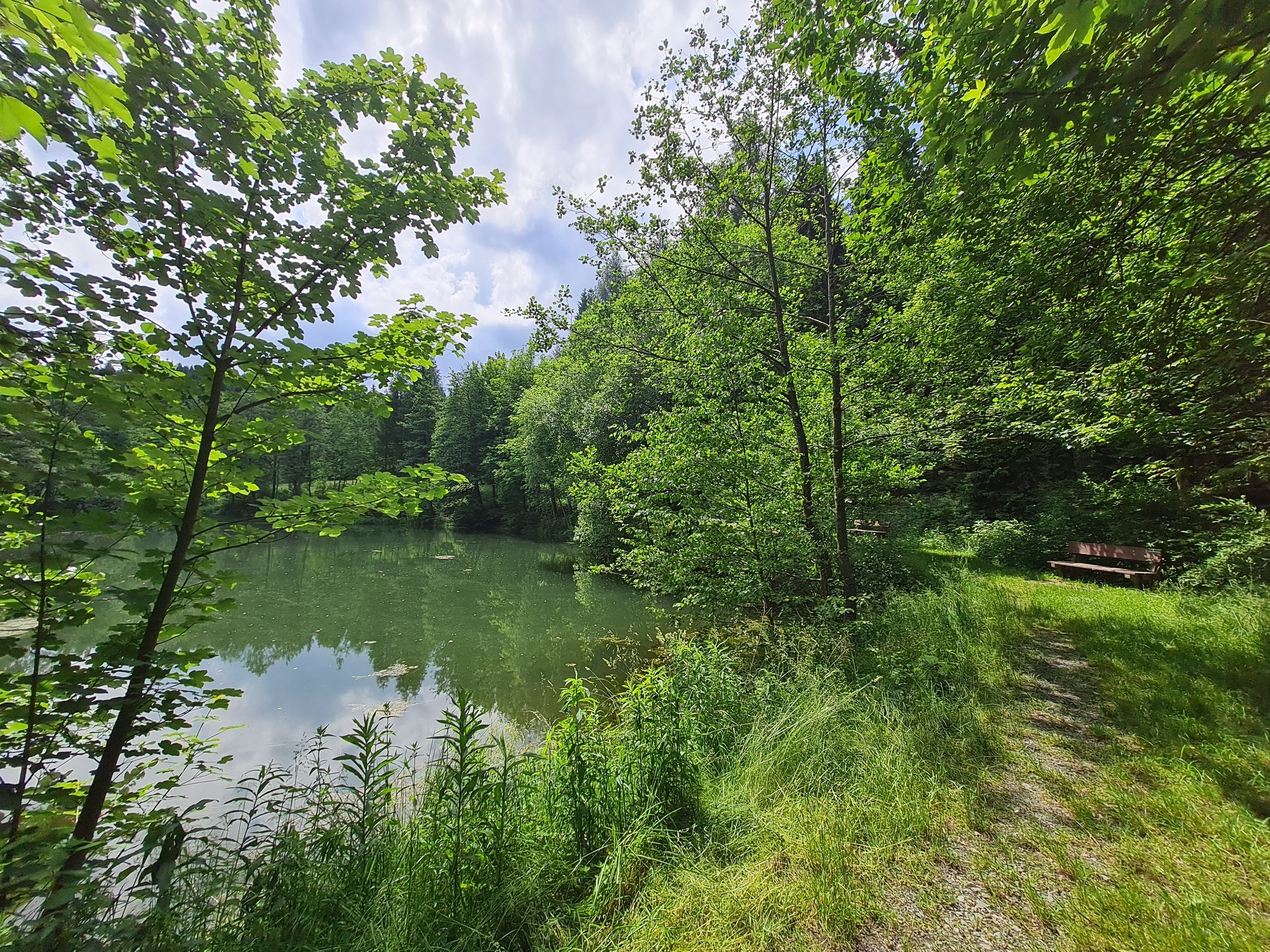 Stauweiher – Motiv