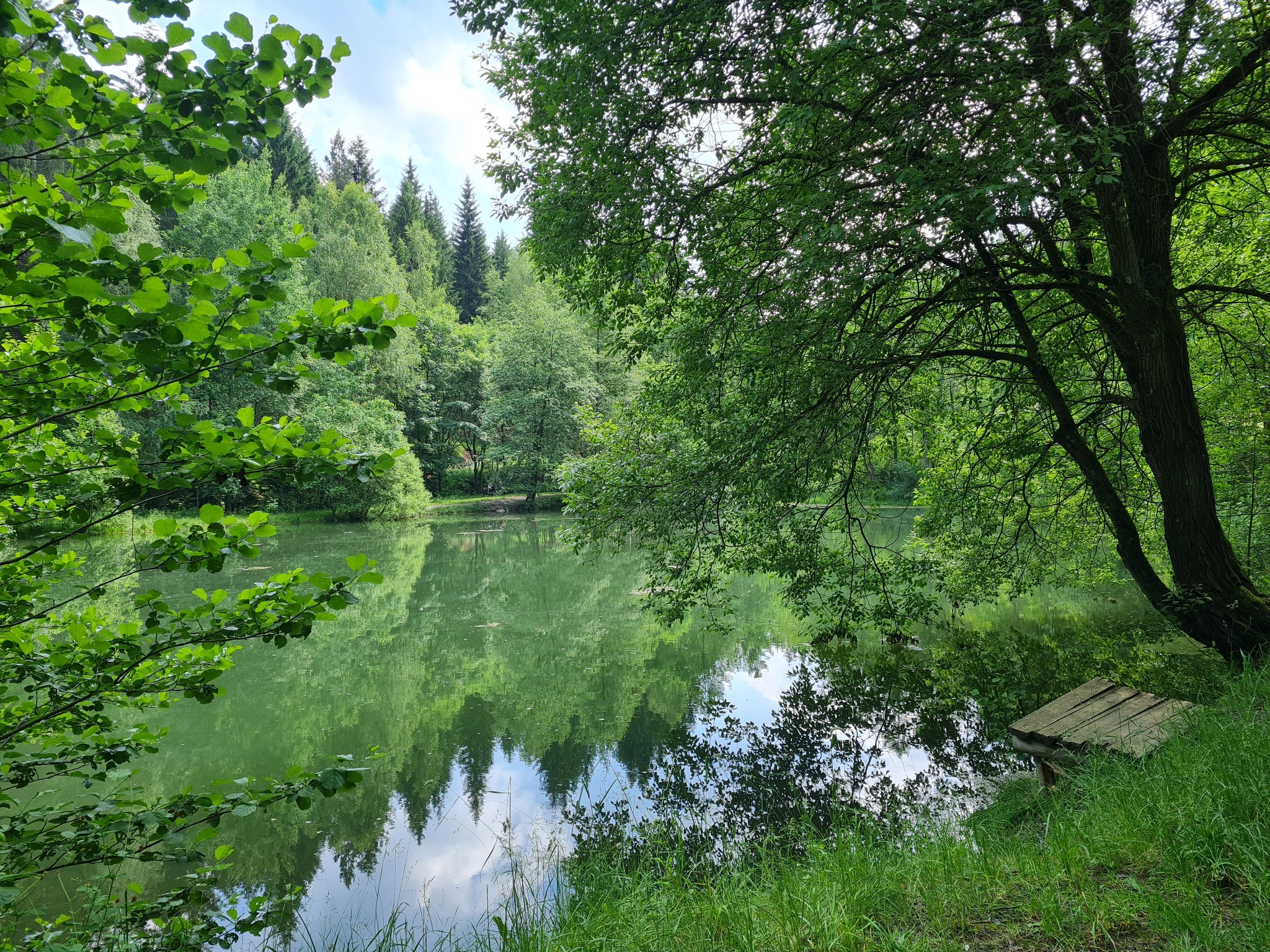 Von Beerheide nach Ellefeld – Hohofen – Route 7 Beerheide – Motiv