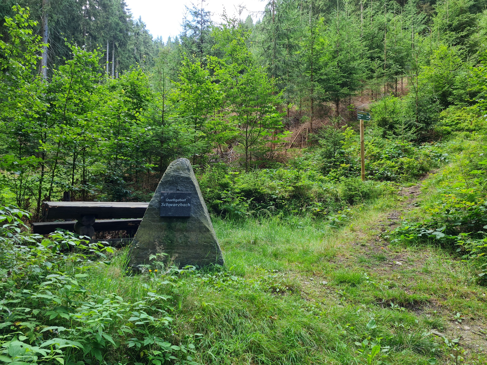Schwarzbachquelle – Motiv