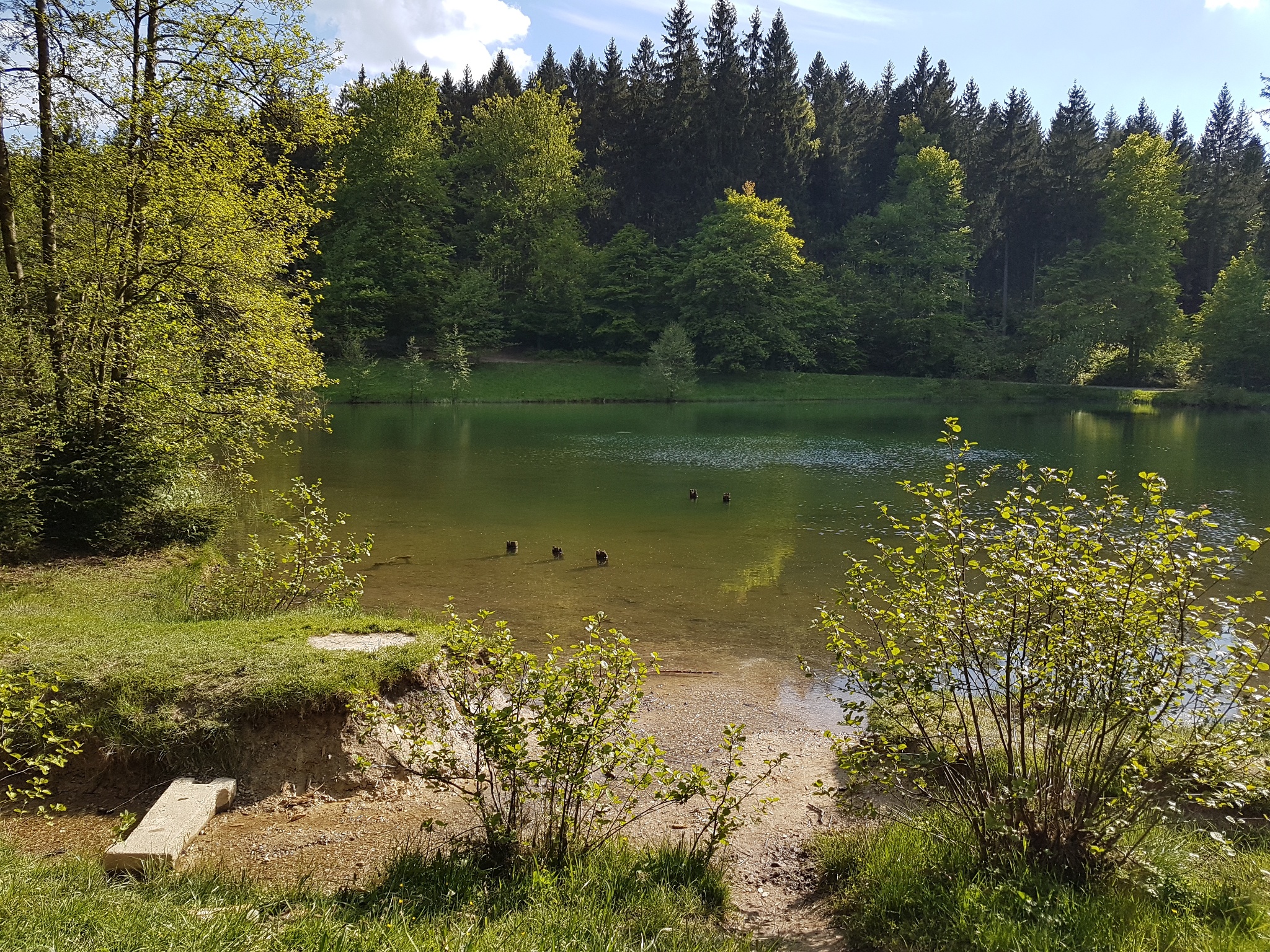 Hinterer Floßteich – Motiv