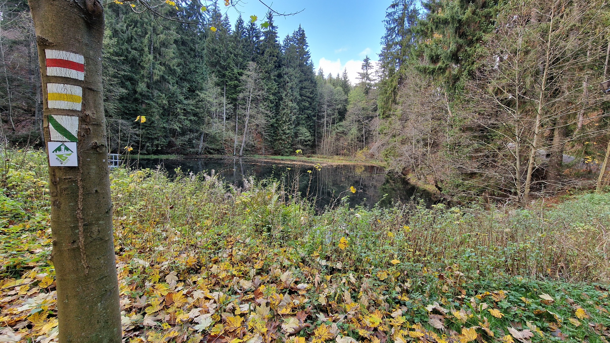 Vorderer Floßteich – Motiv