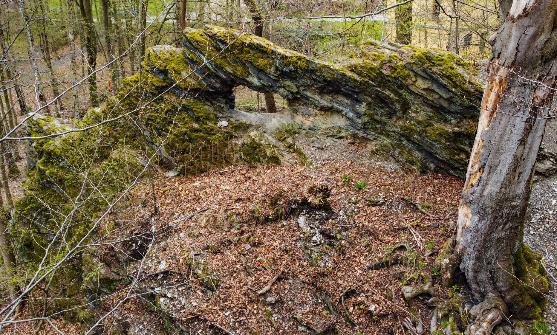Die Waldbrücke im Ellefelder Park – Motiv