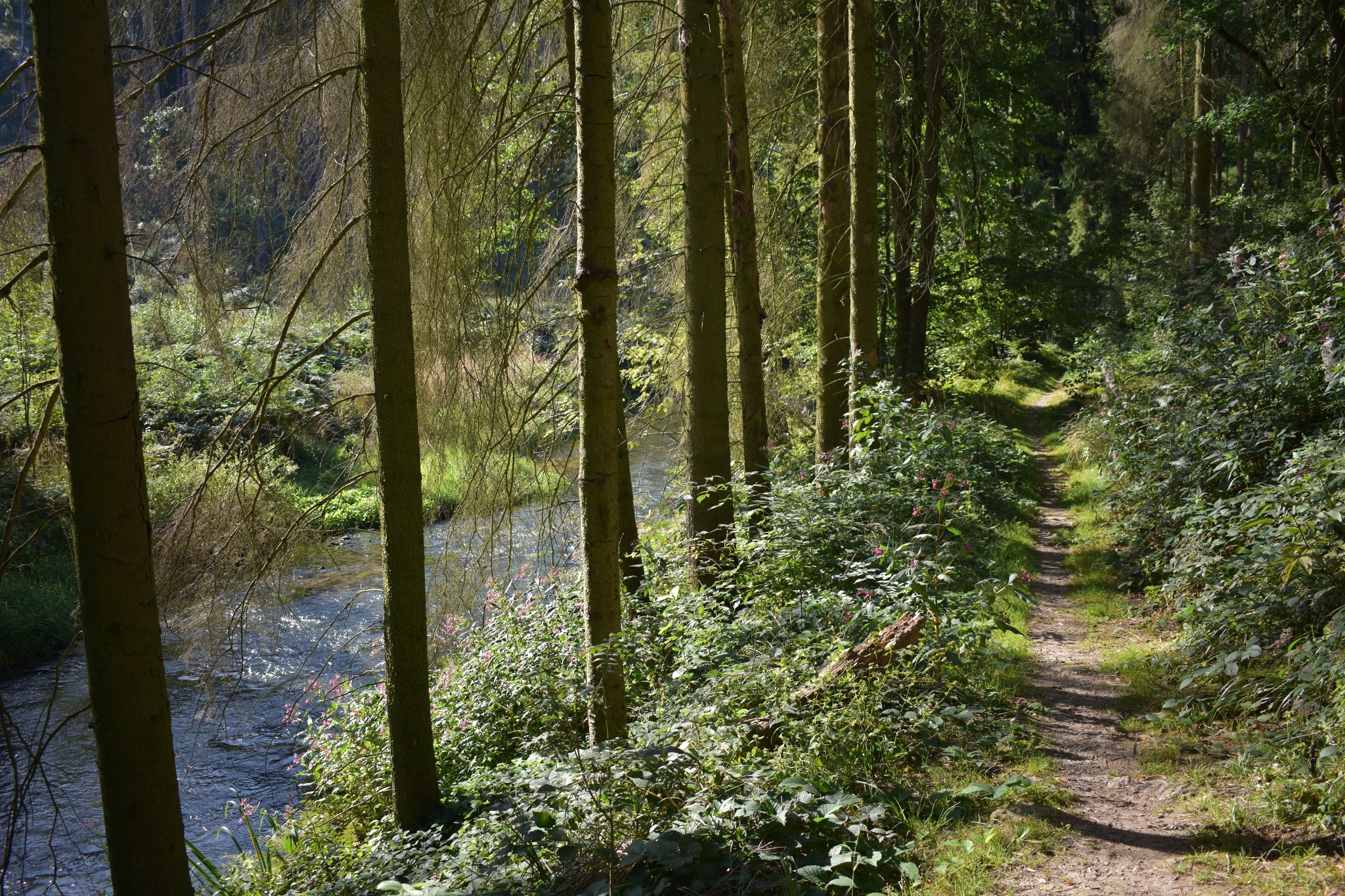 Wesenitztalweg – Motiv