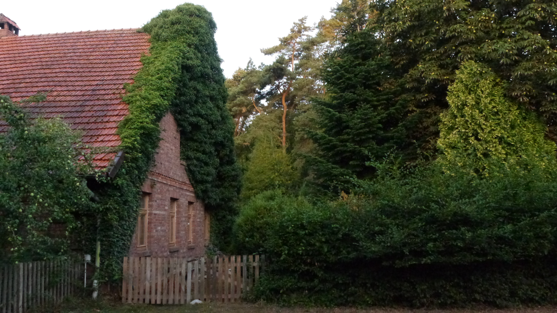 Bauernhof vor dem Moore, Warmsen