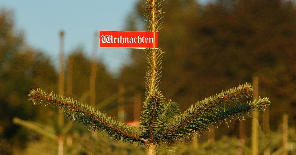 Tannenbaum-Verkauf der Freiwilligen Feuerwehr