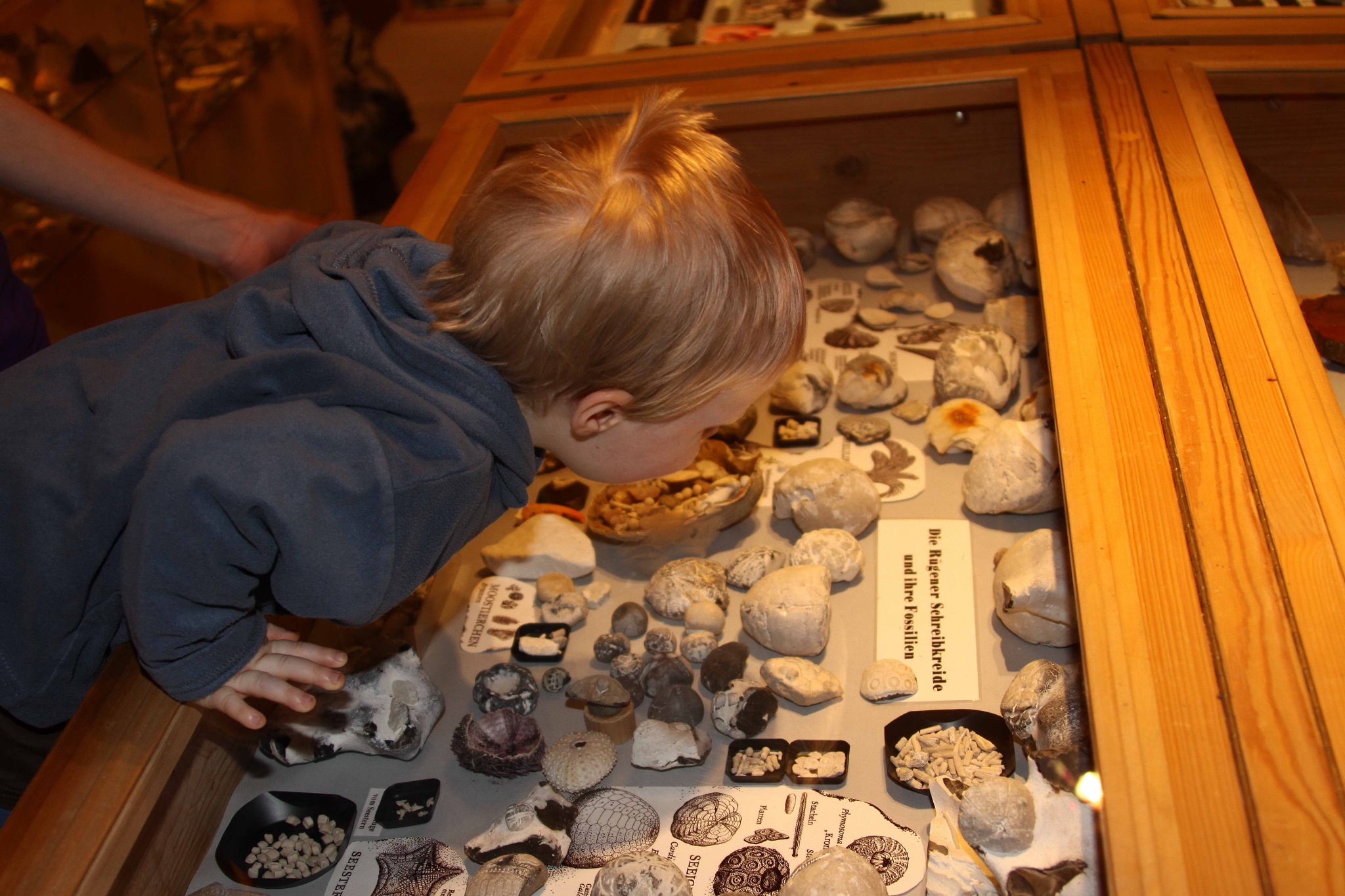 Vogtl. Goldmuseum & Naturalienkabinett – Motiv