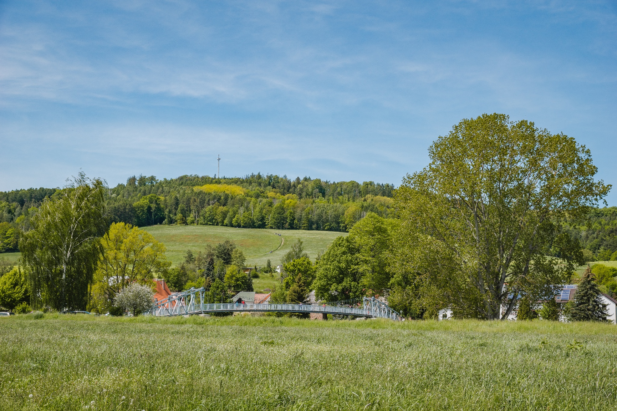 Walderlebnispfad Wechselburg – Motiv