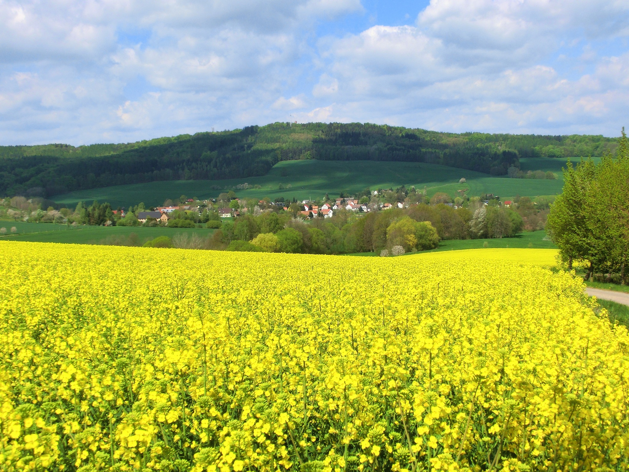 Rochlitzer Berg – Motiv