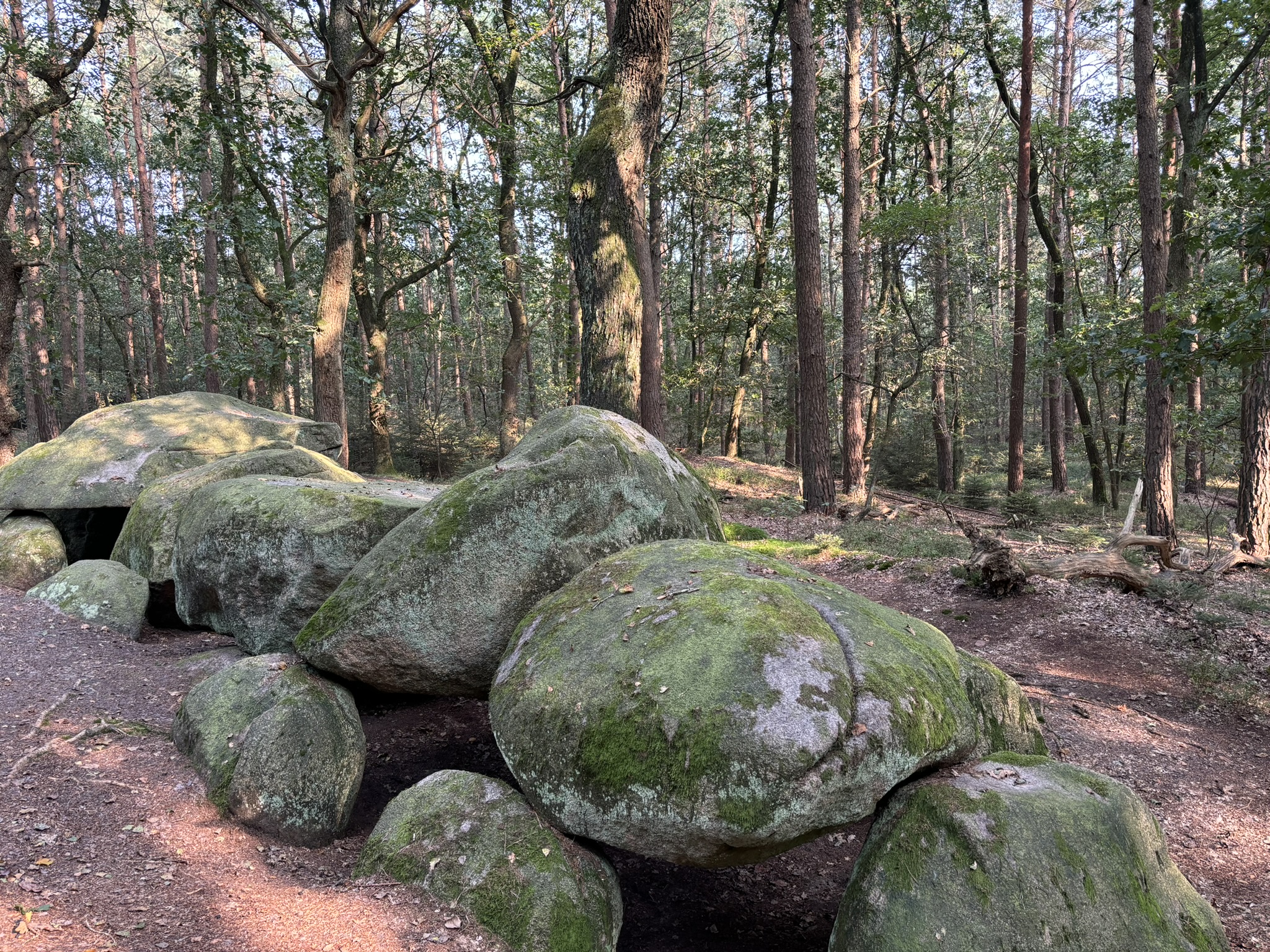 Steenhus in den Klöbertannen