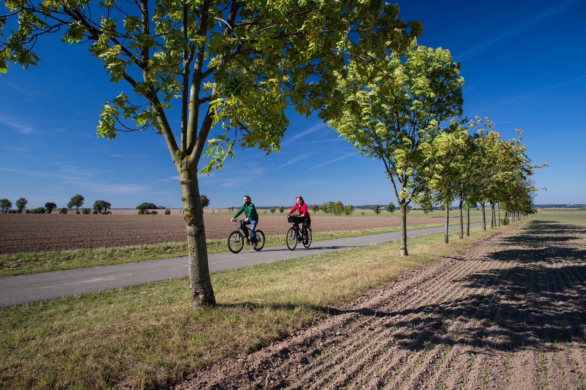 Bauerngartenroute 1 – Motiv