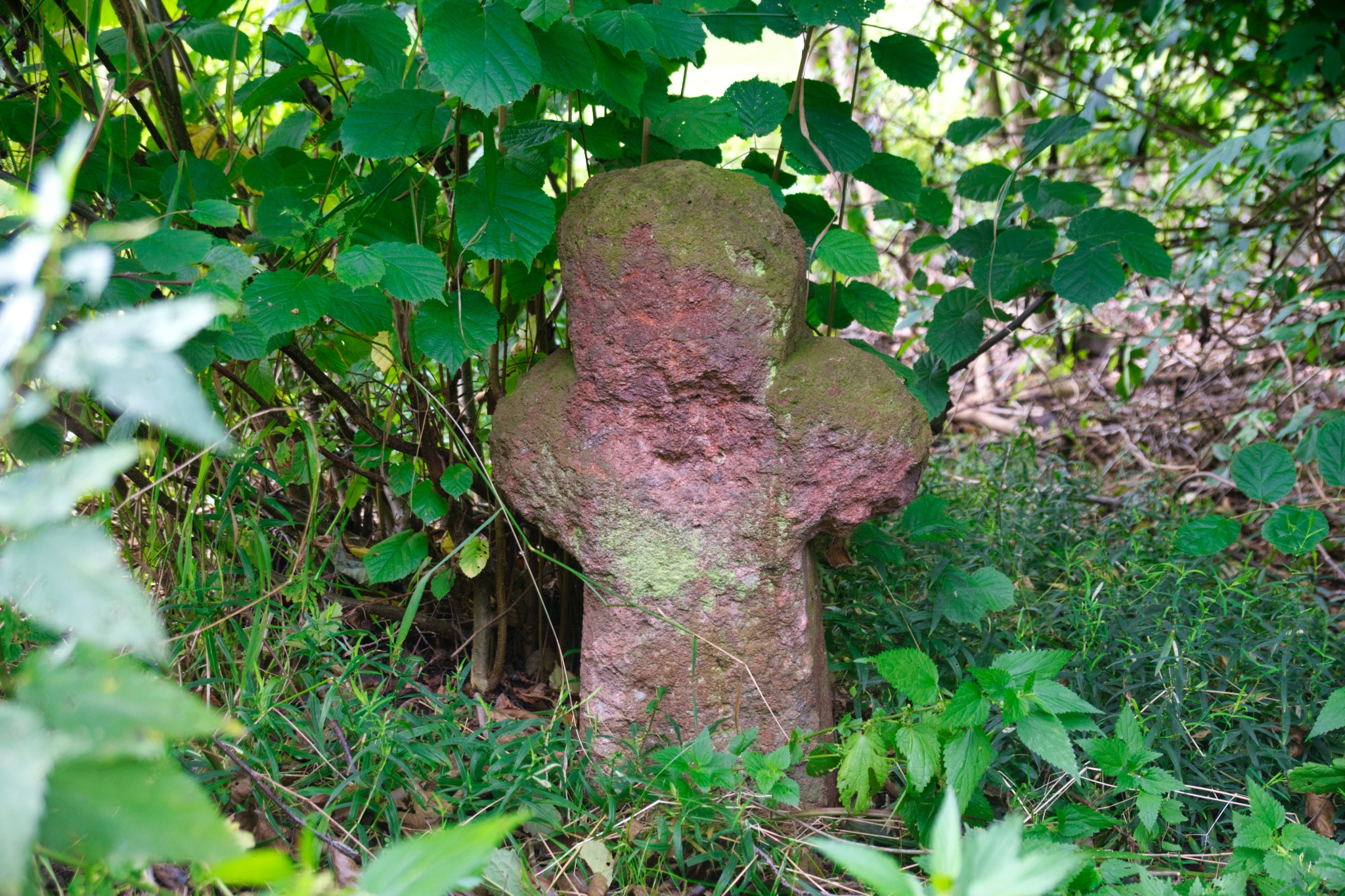 Sühnekreuz Erlbach Seelitz – Motiv