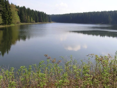 Harzer-Hexen-Stieg - 2. Etappe - von Buntenbock nach Torfhaus