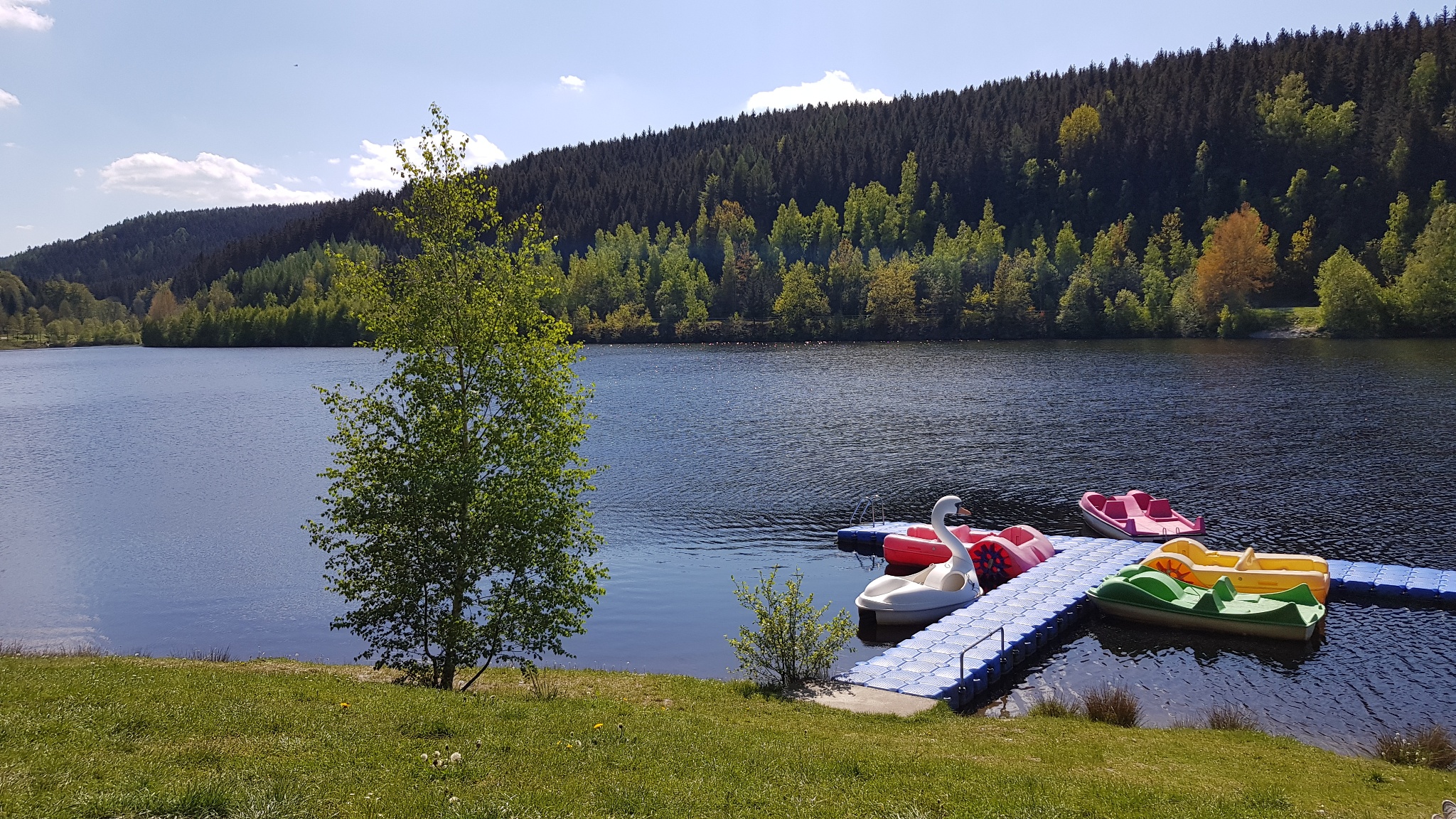 Bootsverleih und Imbiß Talsperre Falkenstein – Motiv