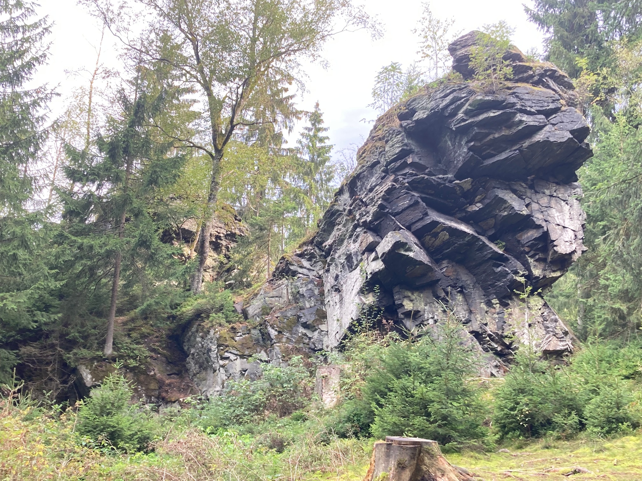 Elsenfelsen – Motiv