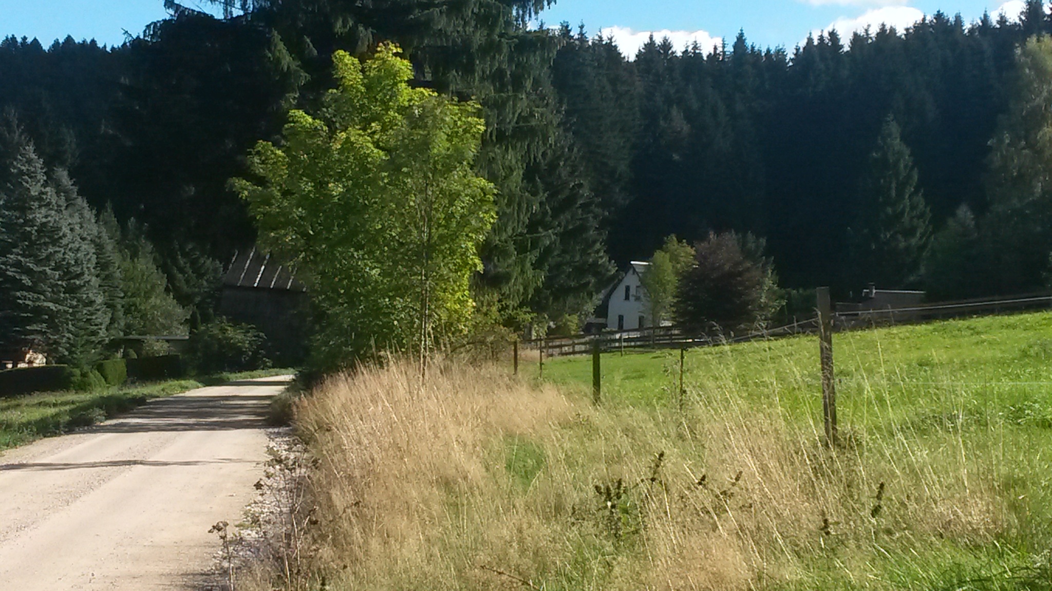 Von den Hahnenhäusern nach Rautenkranz – Motiv