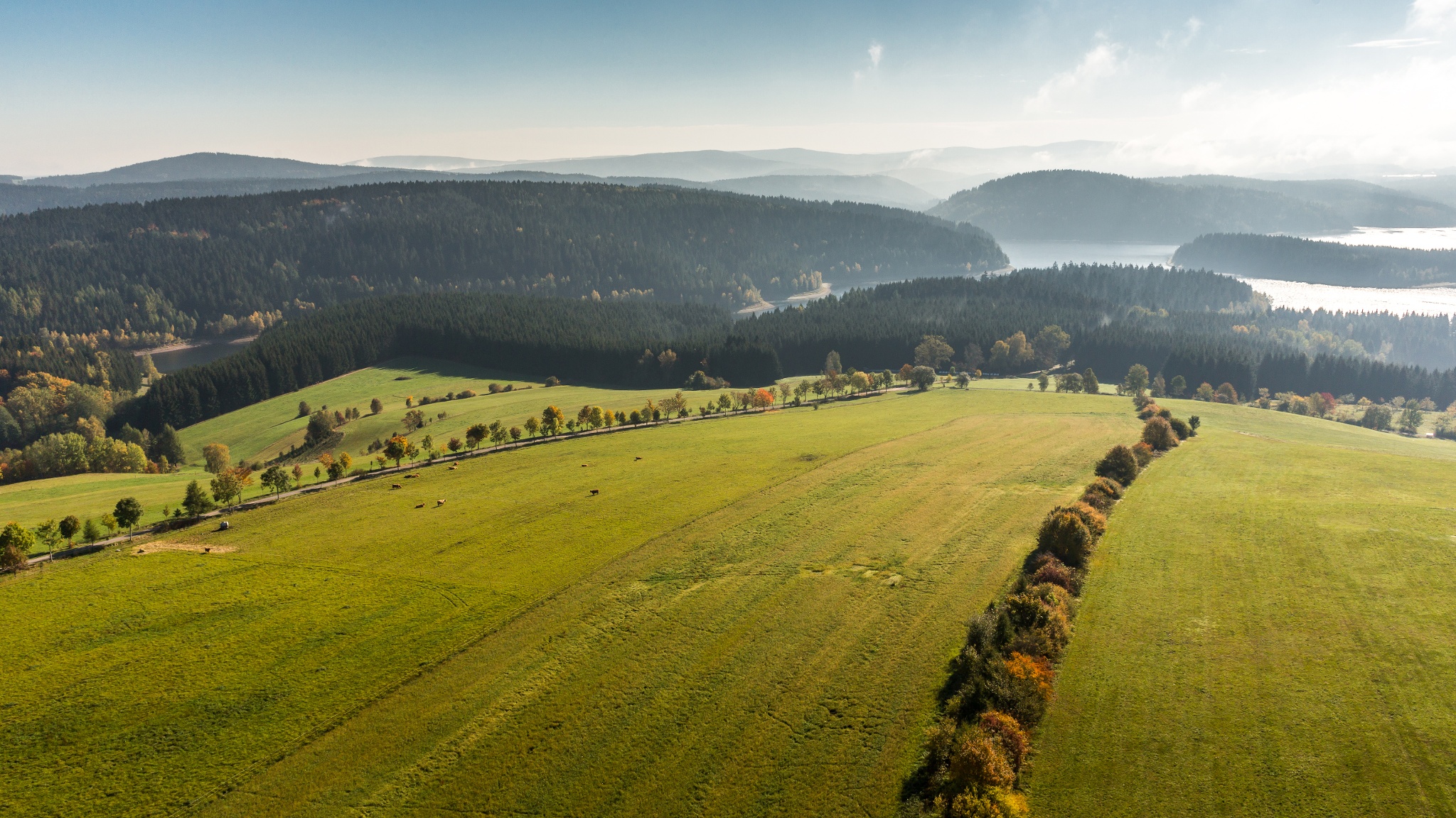 Tourist-Information Rund um den Kuhberg (in der Villa Oschatz) – Motiv