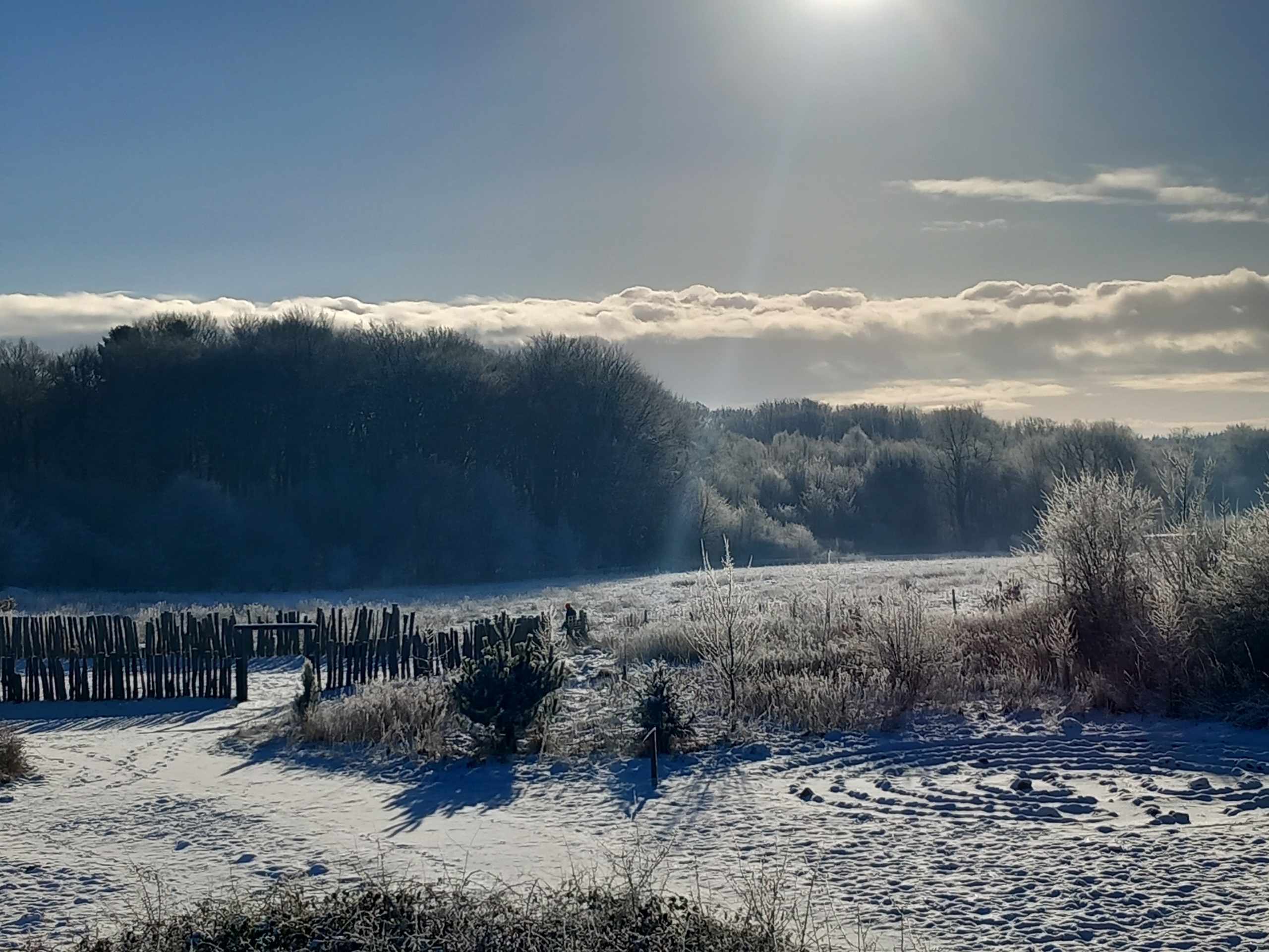 Führungen in der Winterzeit