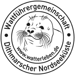 Wattführung "mit Hund"