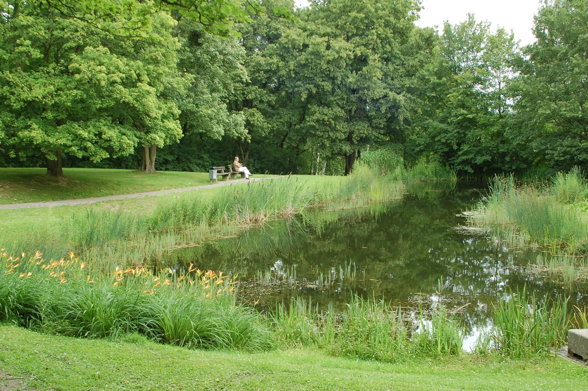 Greifpark (Kurpark am Greif)