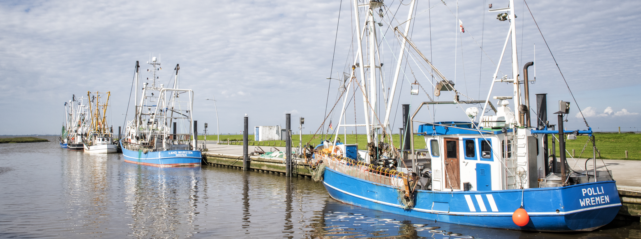 De Wusten - Radrundweg entlang der einstigen Warftensiedlungen