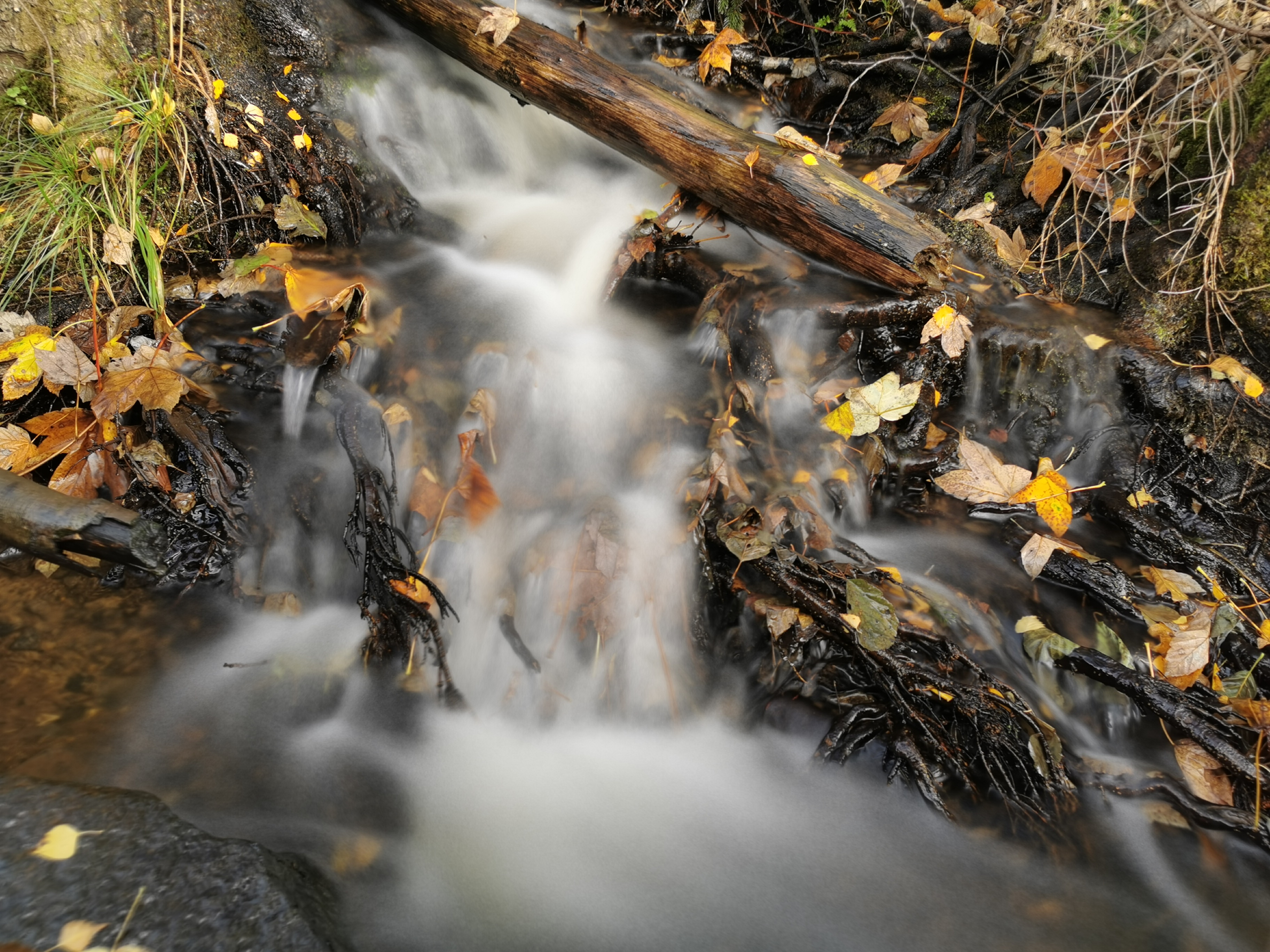 Der Weg des Wassers – unterwegs mit dem Ranger