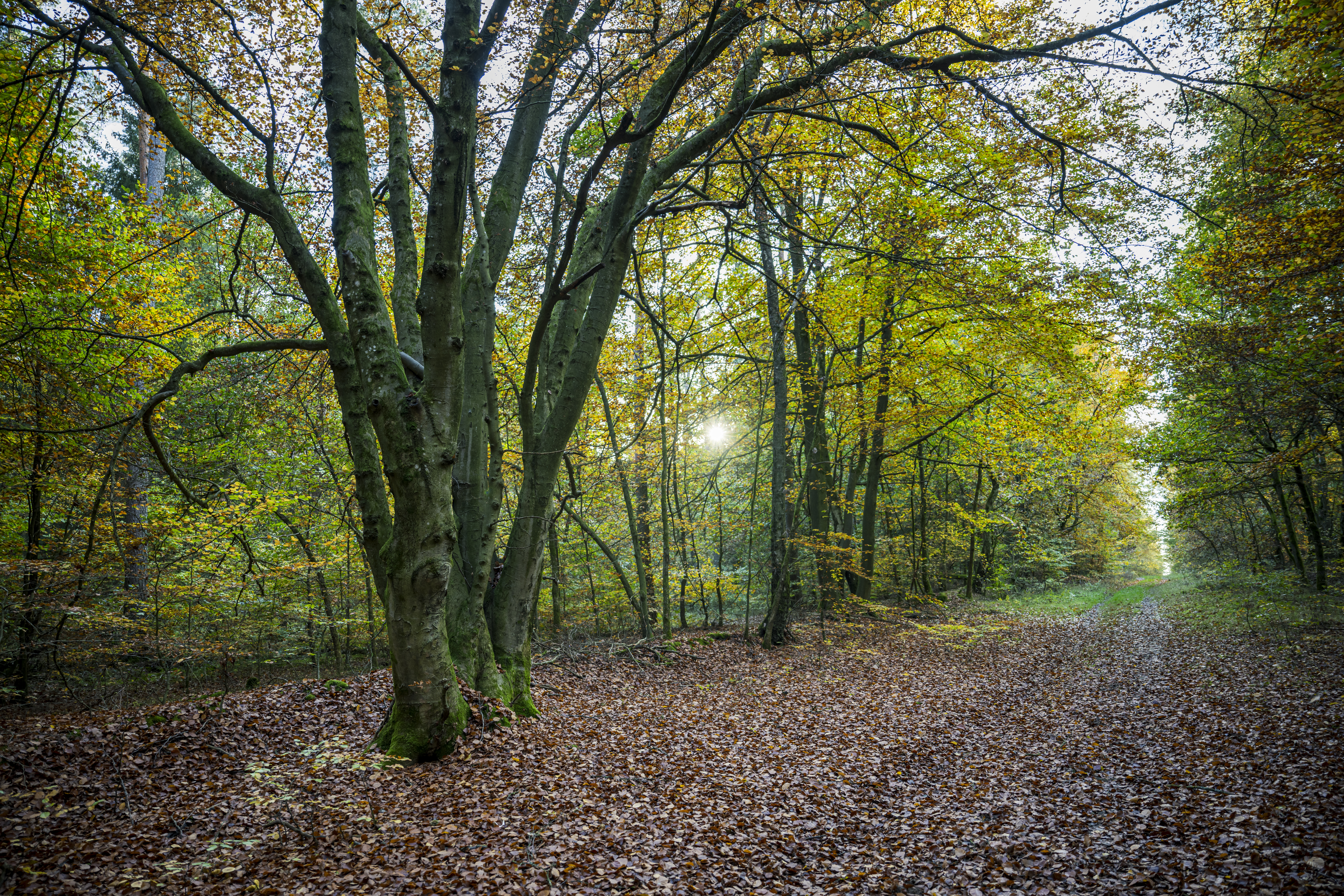 Wanderweg Breetzer Berge - Findlingsring