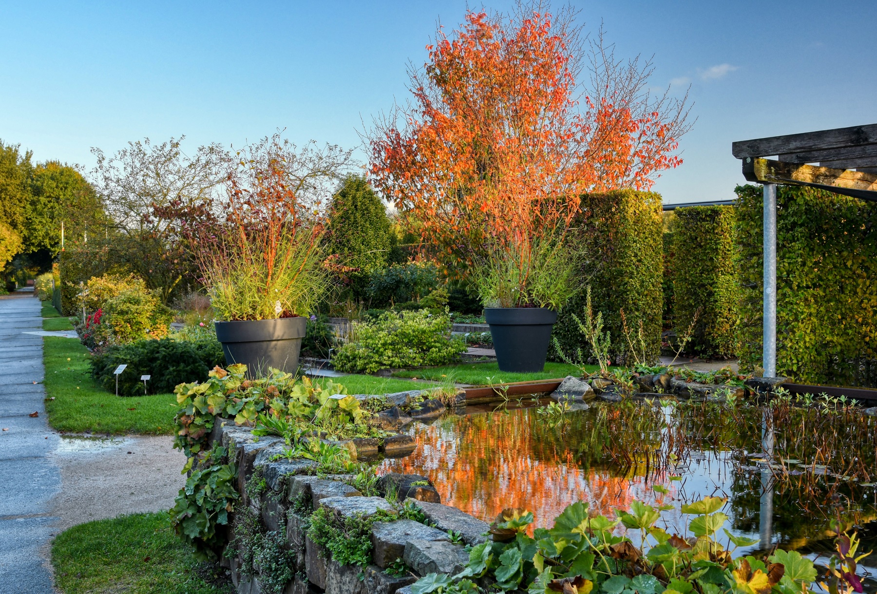 Sonderöffnung: Herbstimpressionen im Park