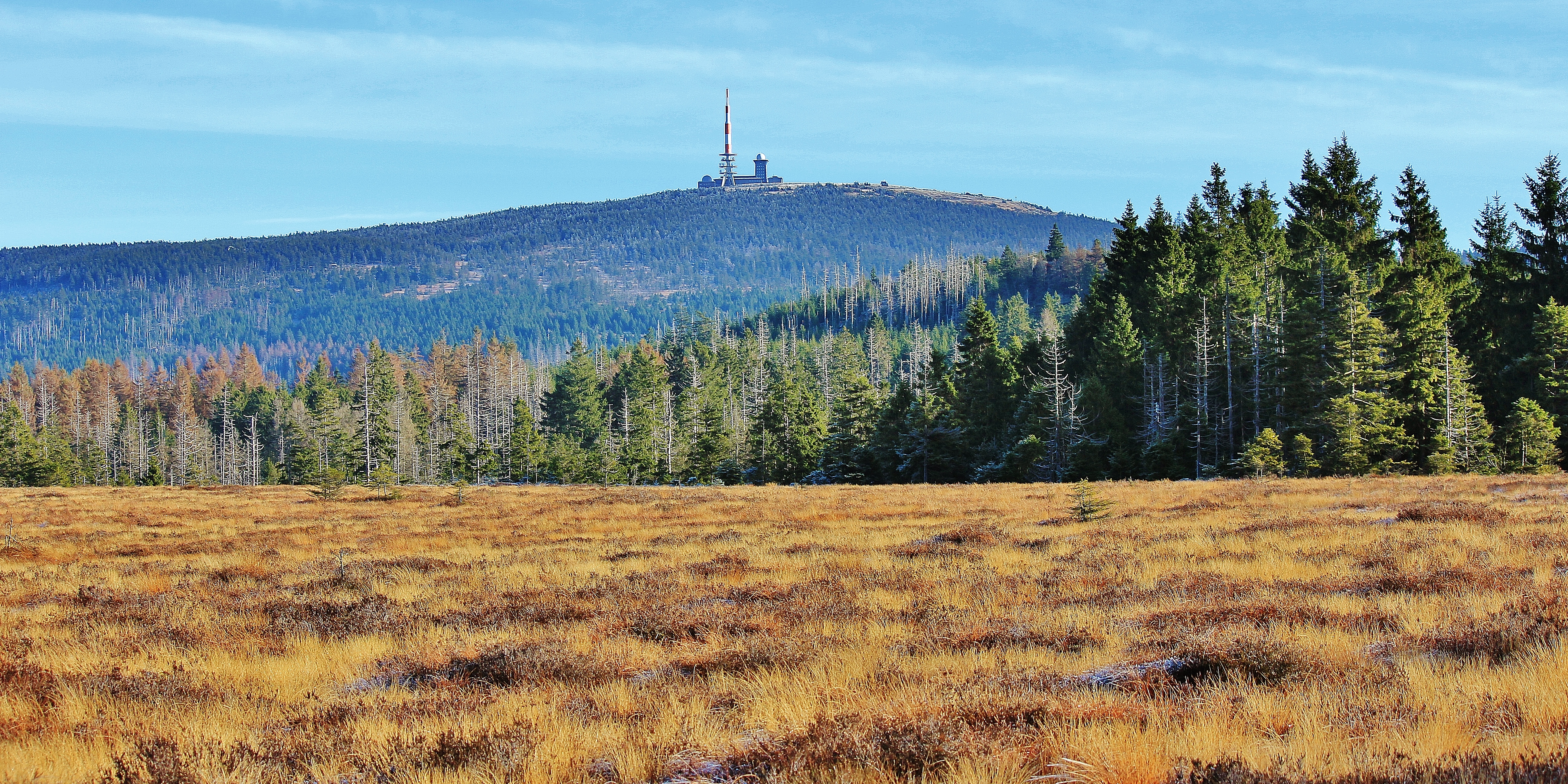 Sieben-Moore-Tour – mit dem Ranger unterwegs