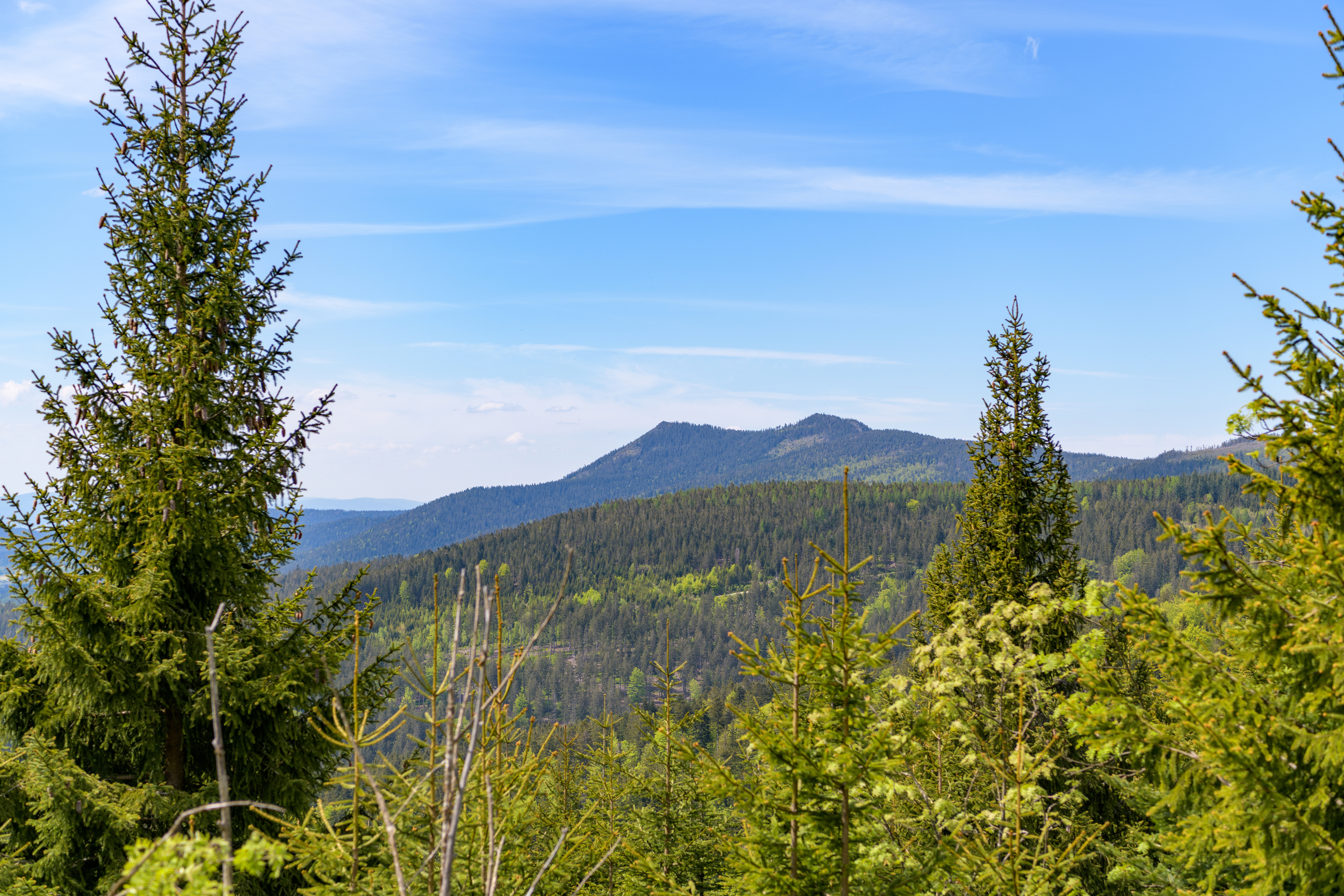 Image2.jpg