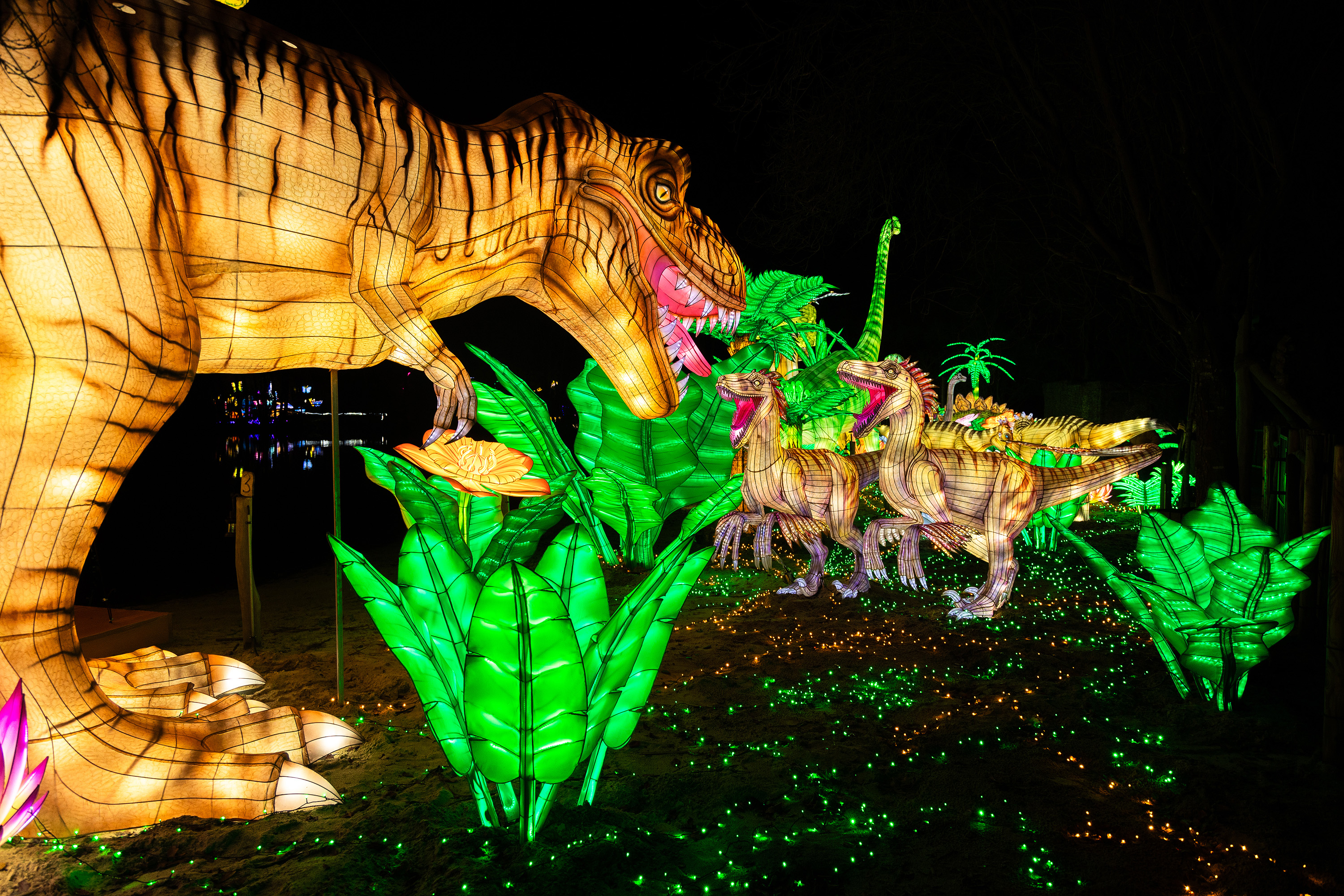 Lichterfestival Serengeti Park mit Dinosauriern