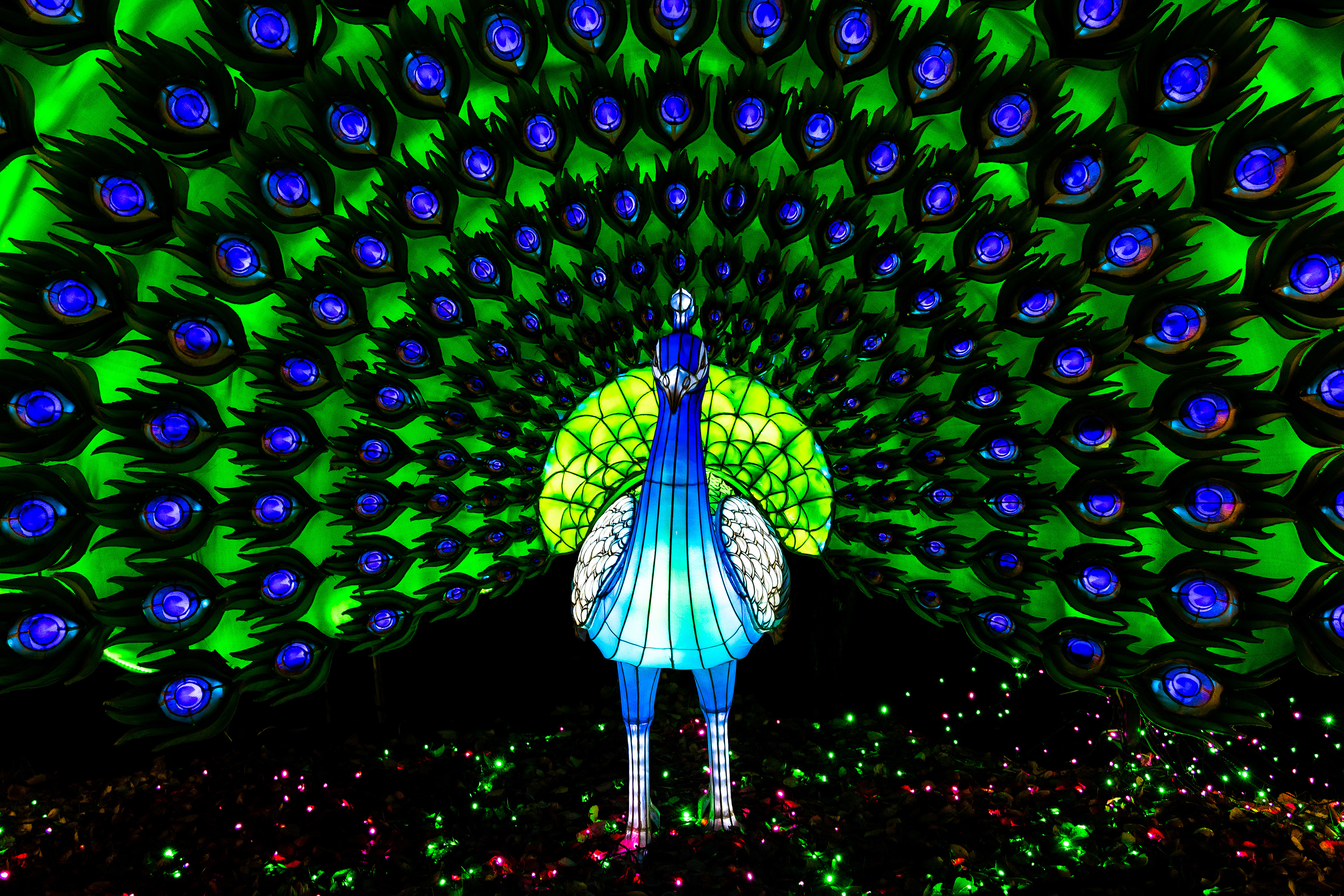 Sensationelle Illuminationen im Serengeti Park