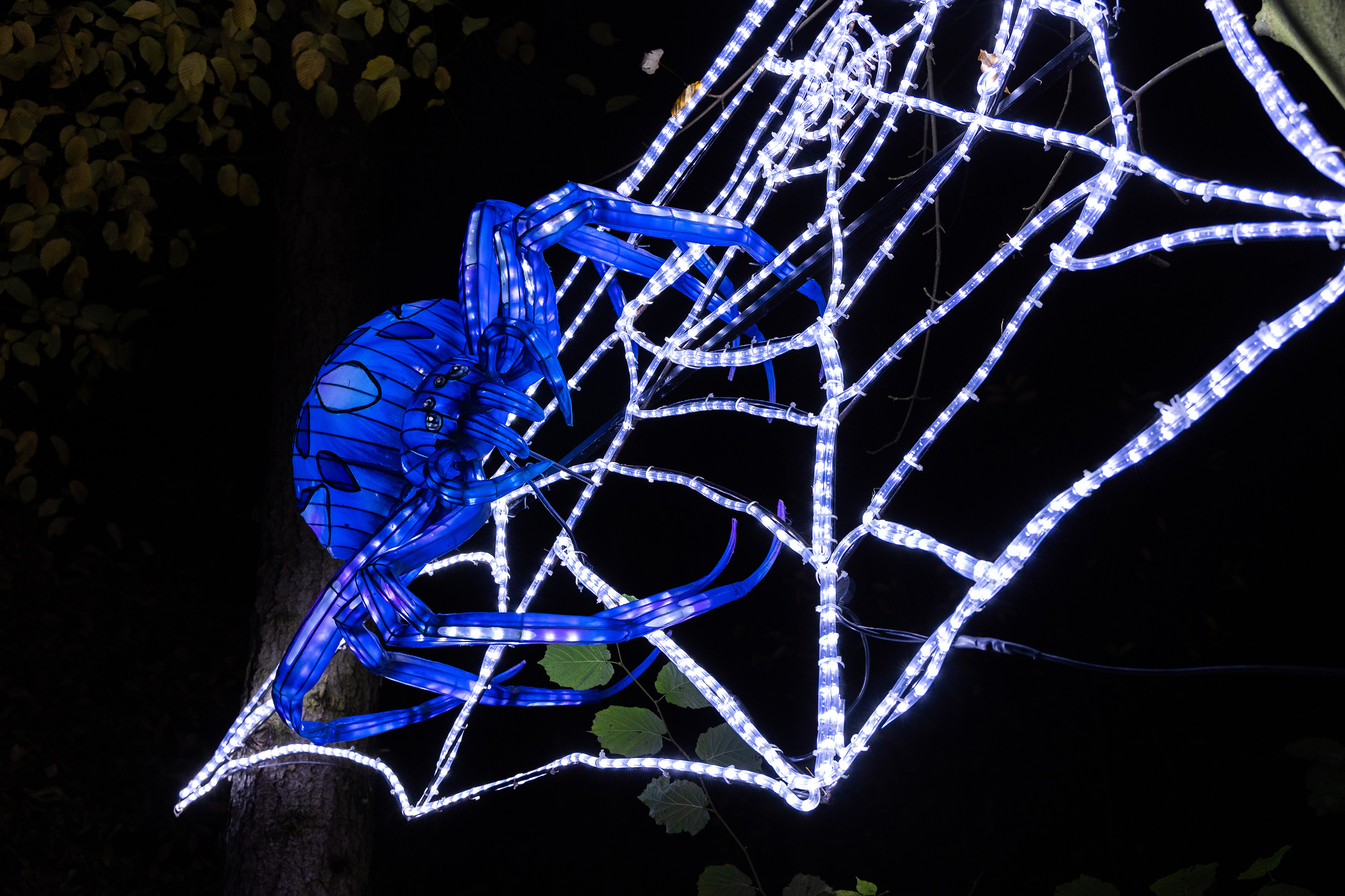 Hodenhagen_Lichterfestival_Serengeti_Park_TLink_20241115-25_web.jpg