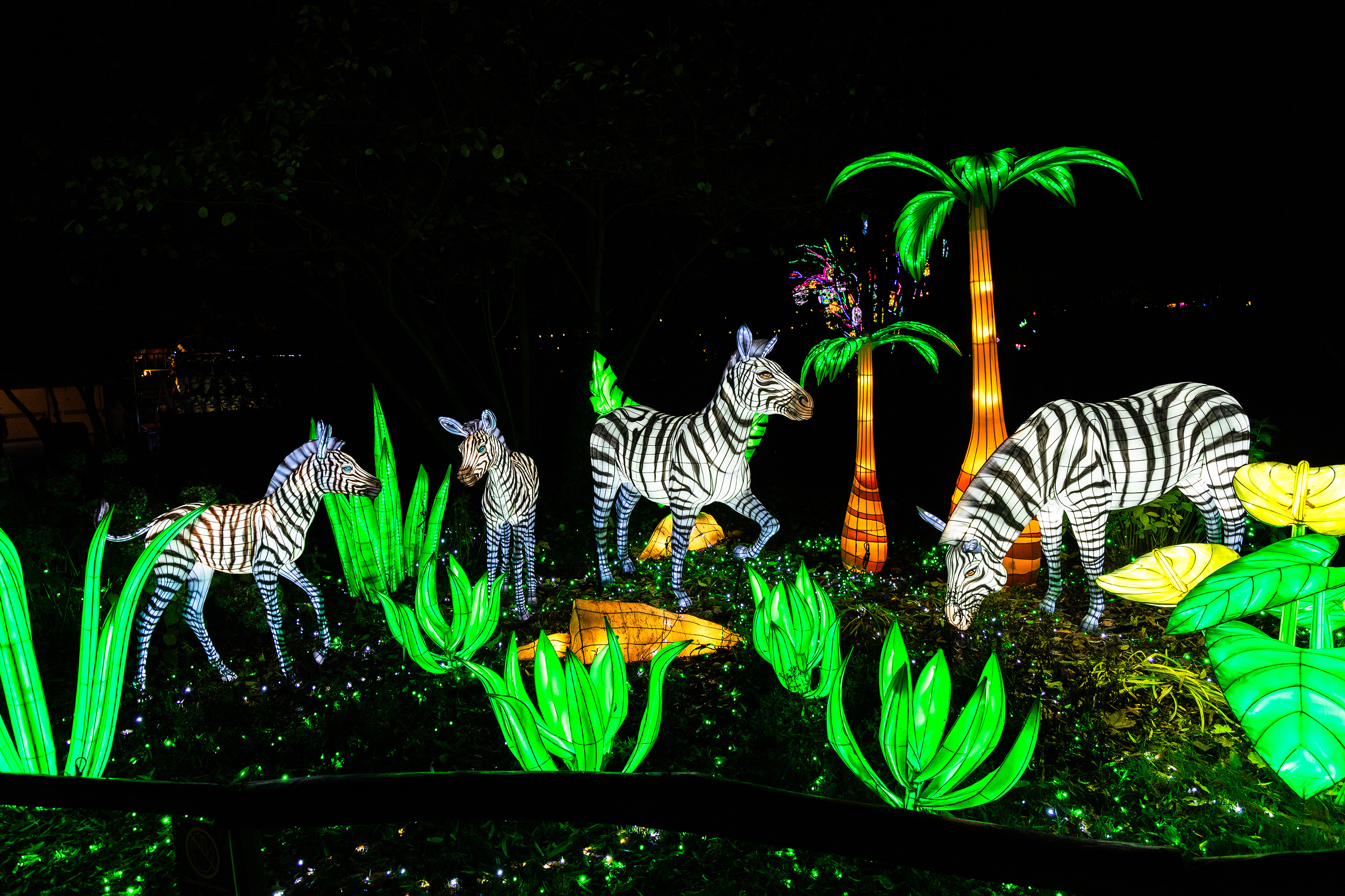 Fantastische Szenen beim Lichterfestival