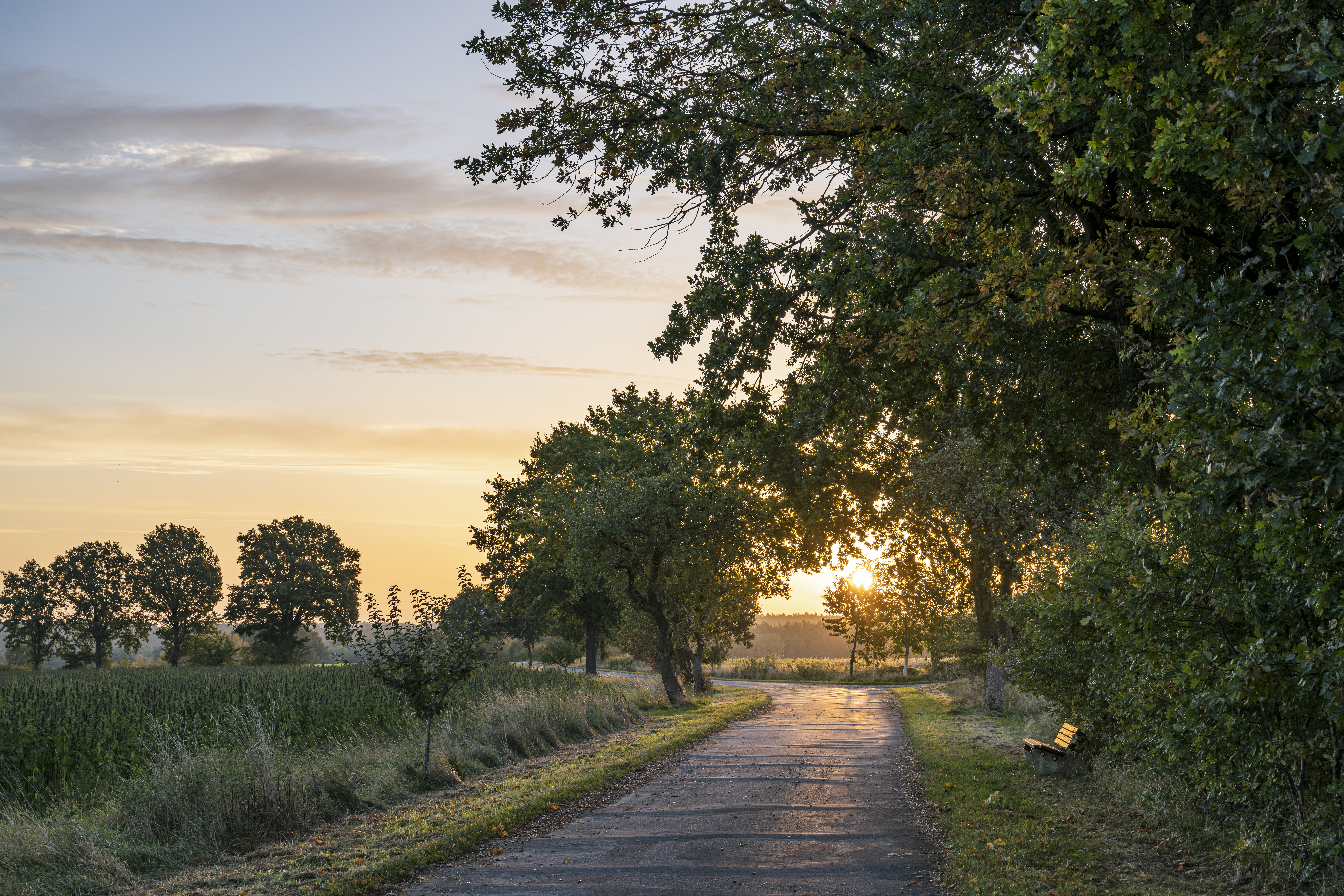 Die Landschaft in der Ostheide im Herbst