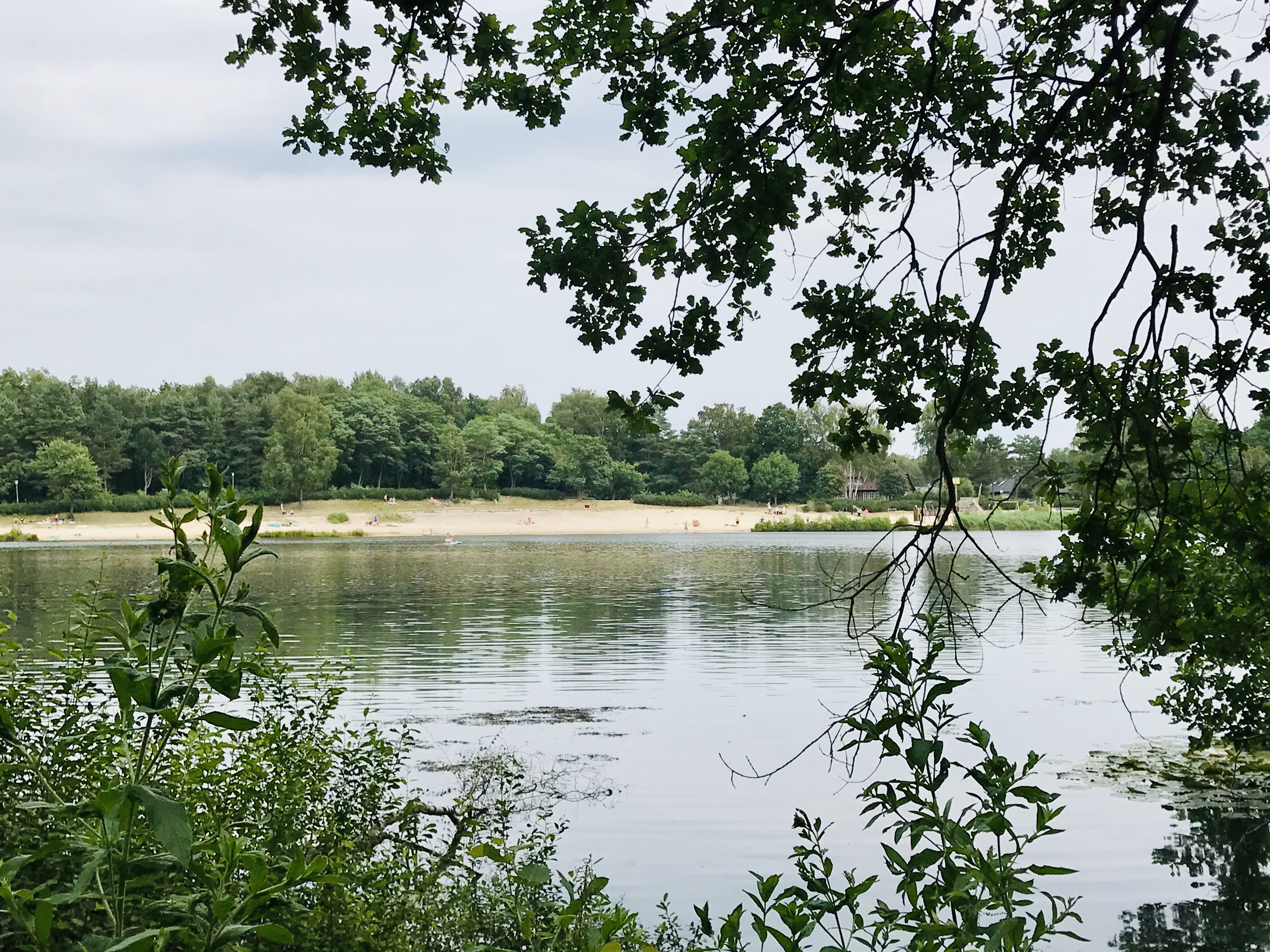 Naturerholungsgebiet Flüggenhofsee