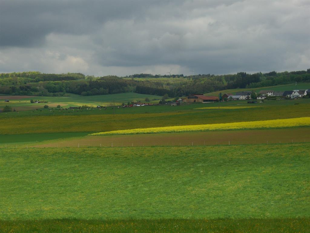 Ferienhaus Höppches, Blankenheim