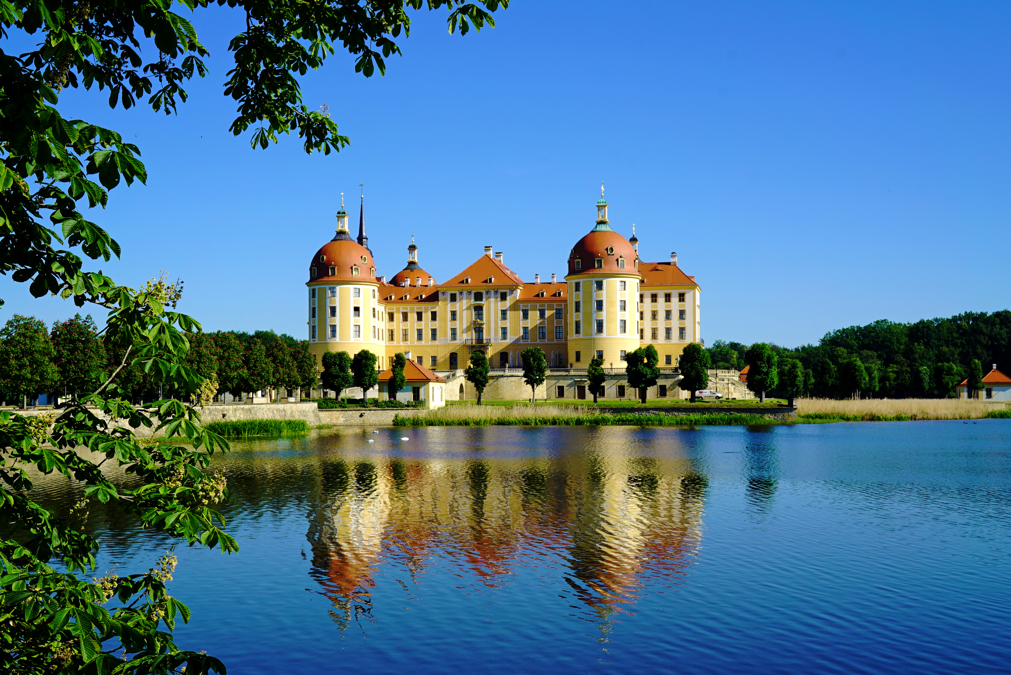 Schloss Moritzburg – Motiv
