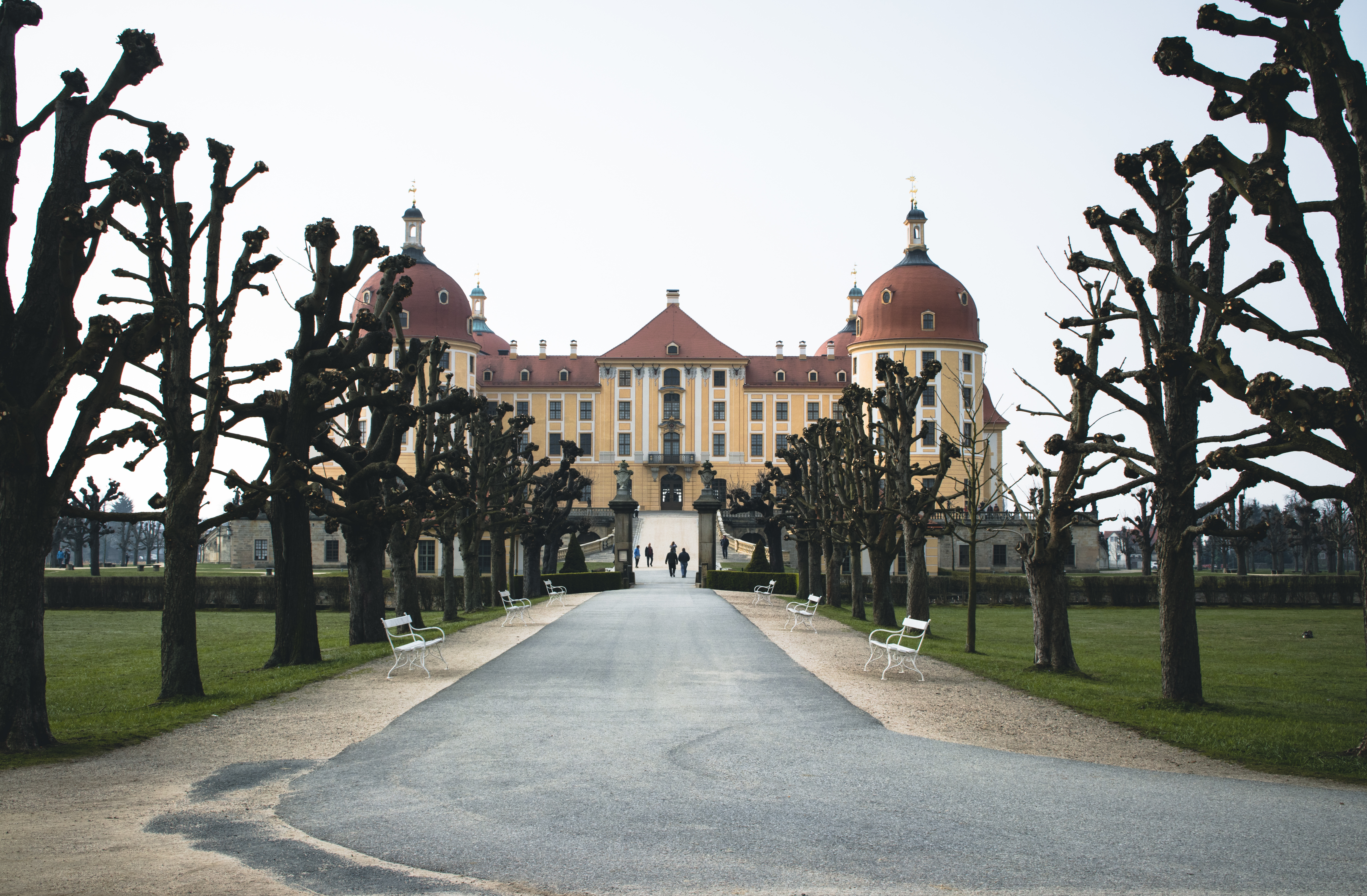 Schloss Moritzburg – Motiv
