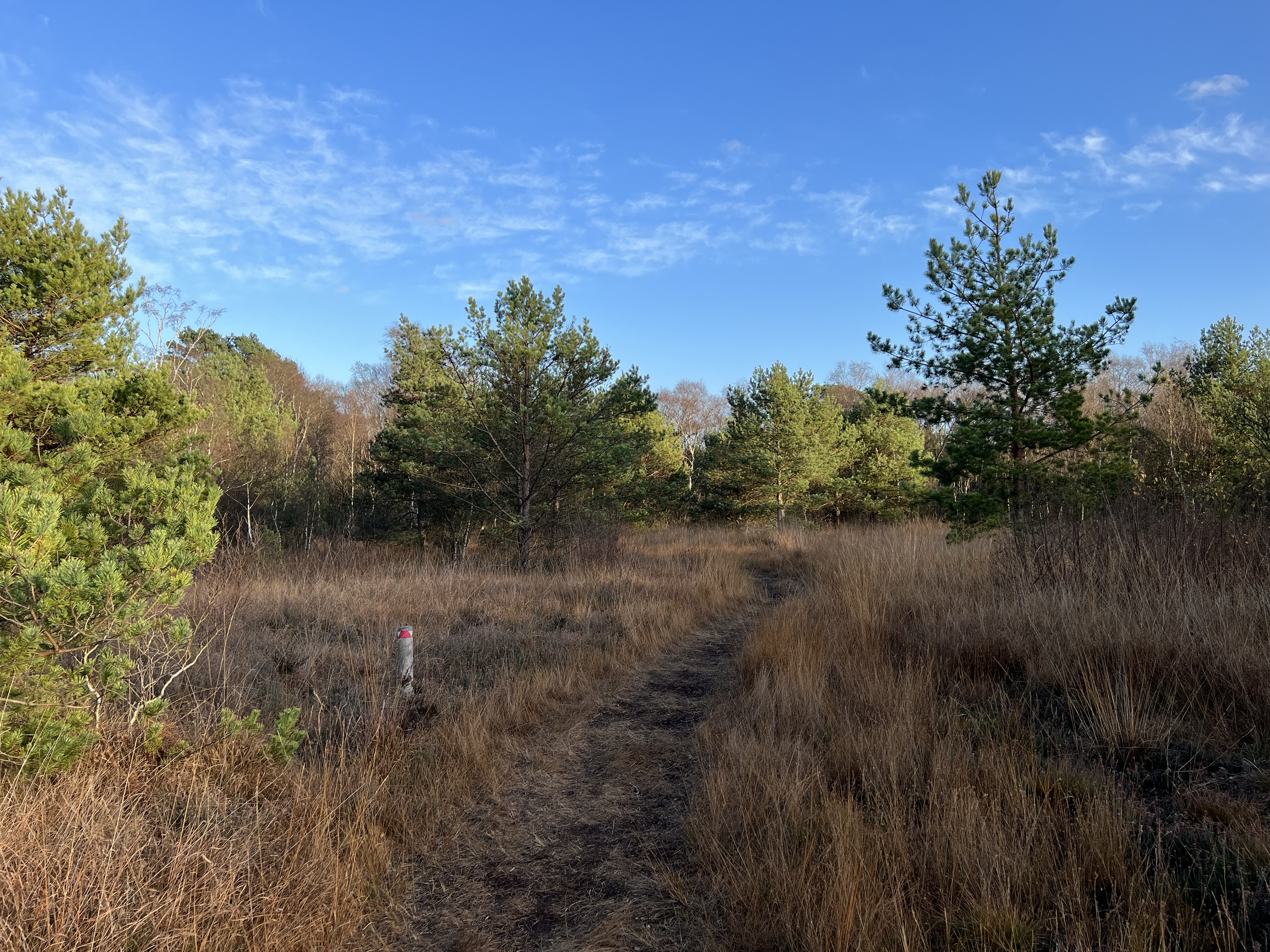 Niedersandhauser Moor - Eine Stunde raus