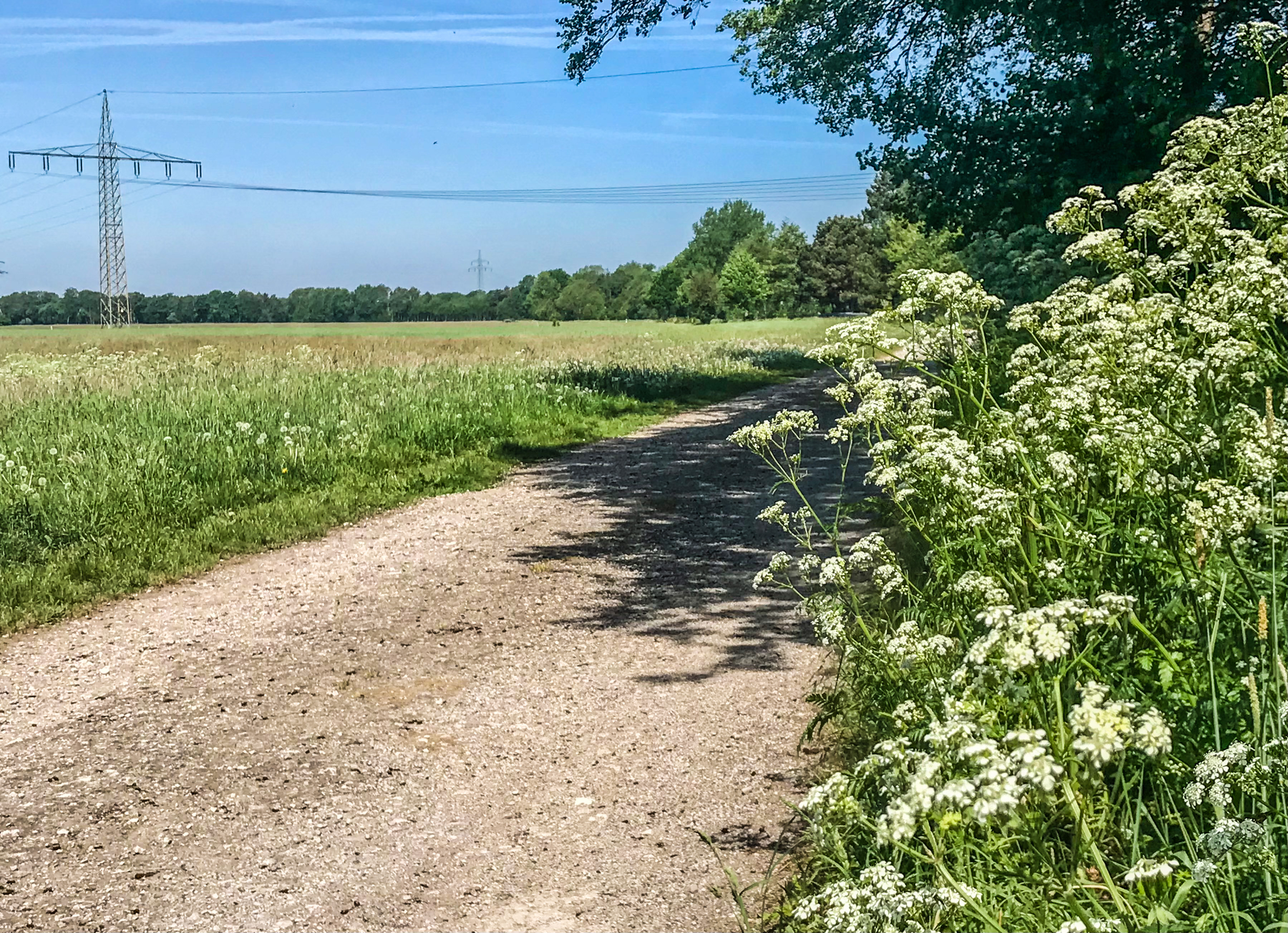 Seebergen - Marschlandschaften - Eine Stunde raus