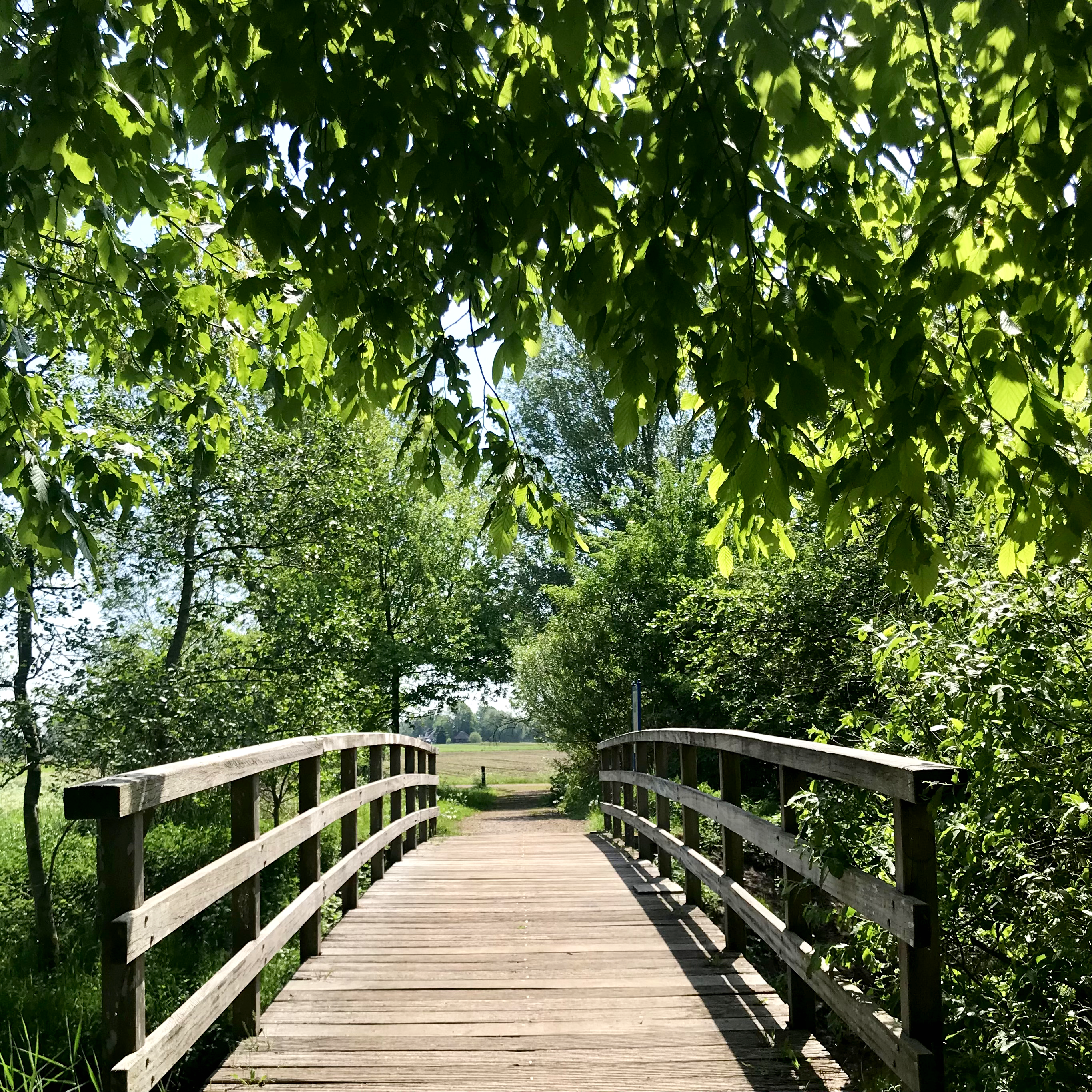 Grasberg - Längs der Wörpe - Eine Stunde raus