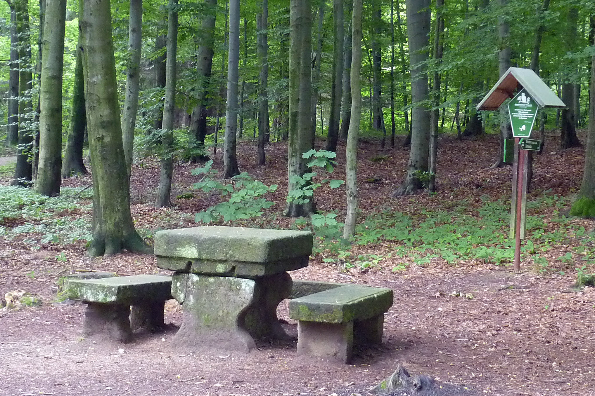 Steinerner Tisch im Poisenwald – Motiv