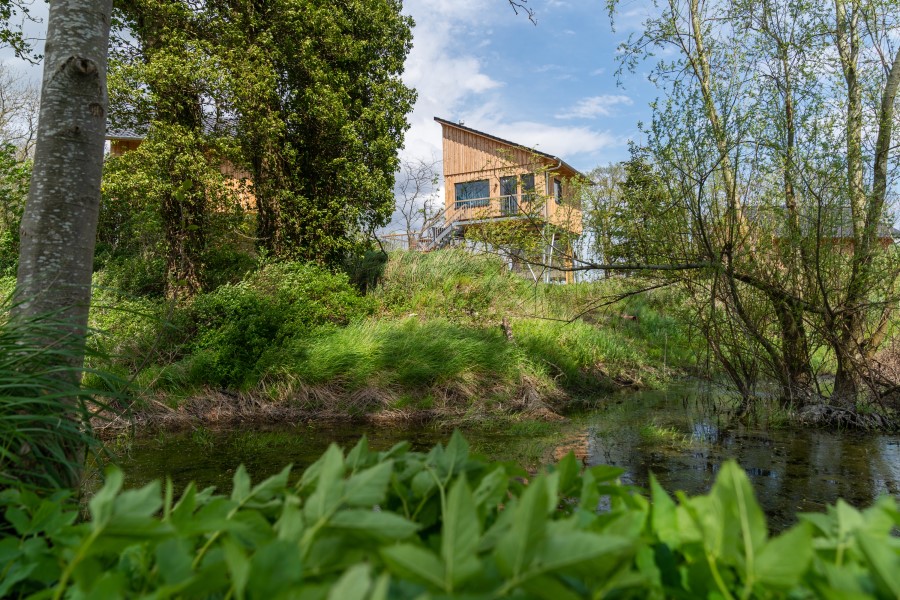 Die Außenansicht des Baumhauses Kohlmeise