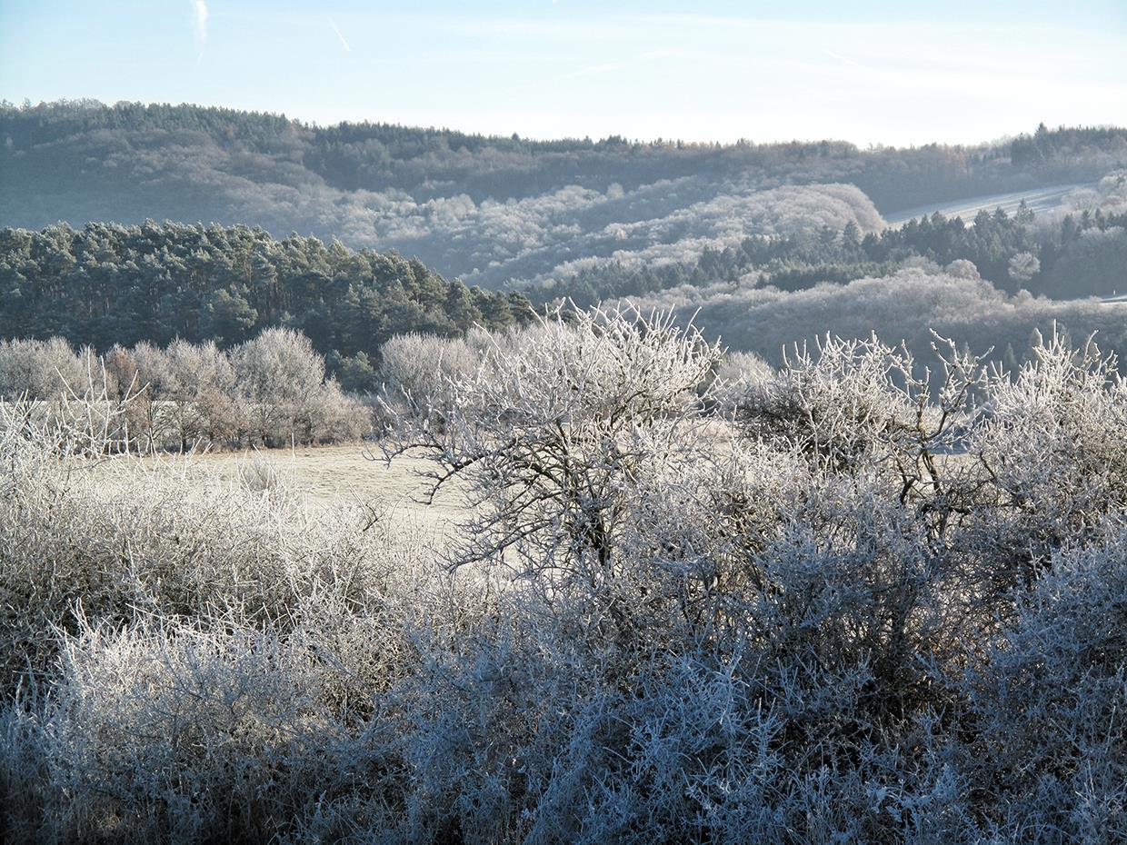 Ferienwohnung Zum Goldenen Schaf, Blankenheim