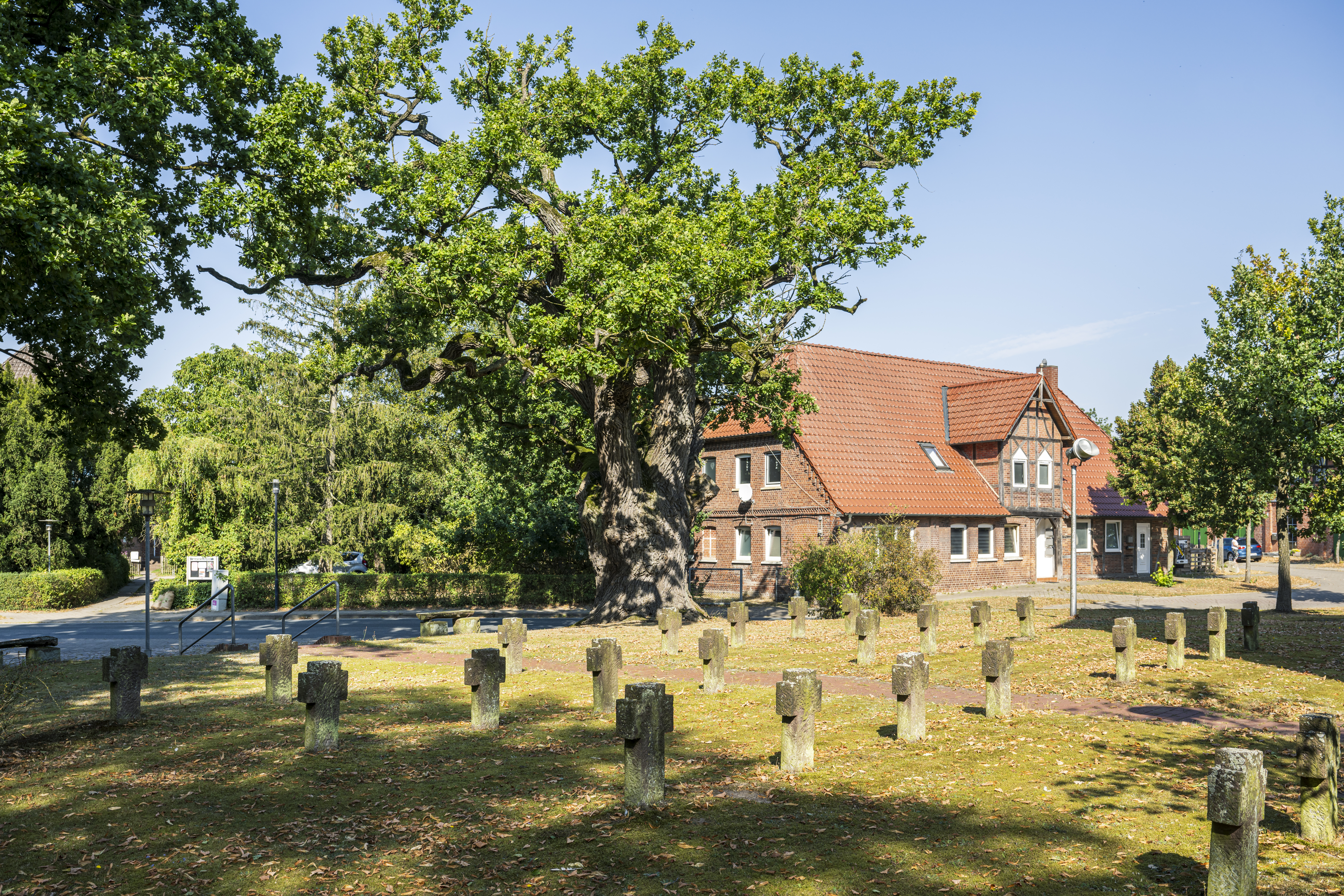 Tour zur Schifferstadt Lauenburg an der Elbe
