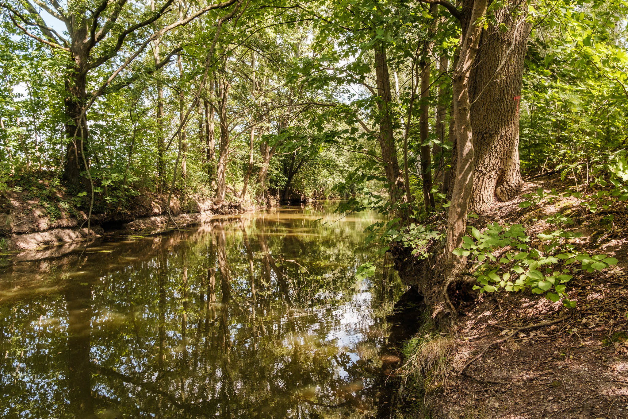 Floßkanalroute – Die Verbindung von Elbe und Schwarzer Elster
