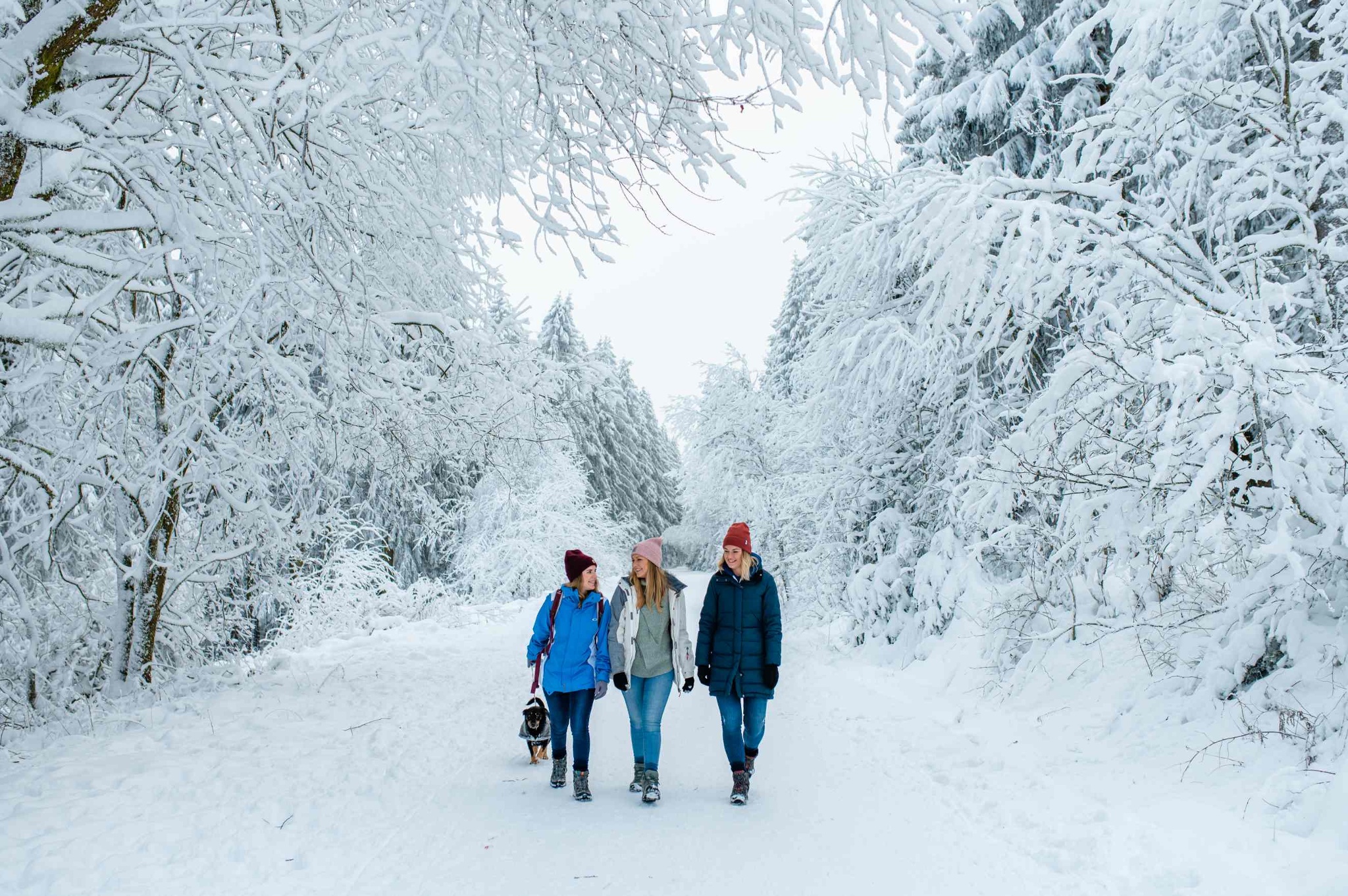 Winterwanderweg vom Bocksberg zum Auerhahn - Hahnenklee