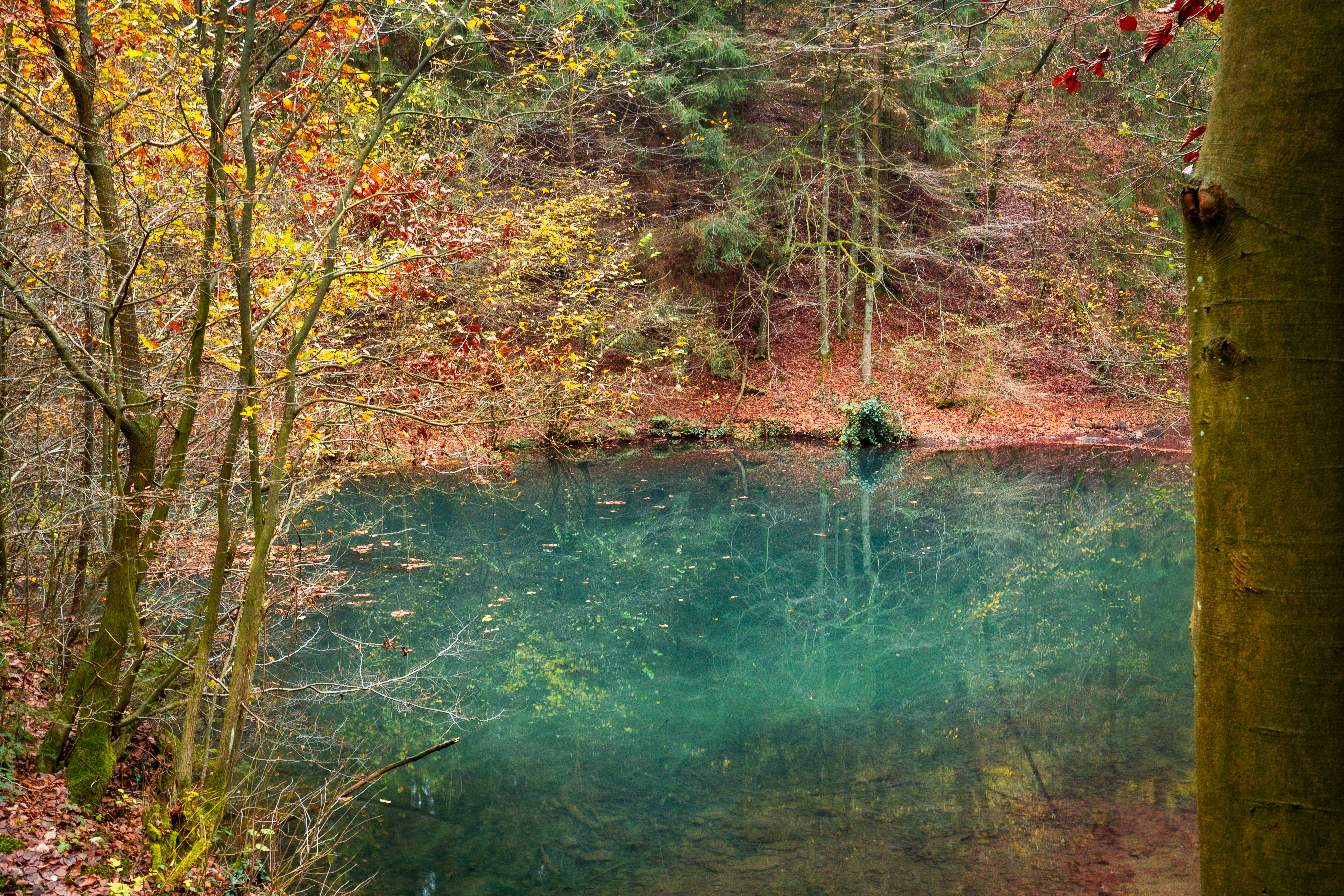 Grüner See